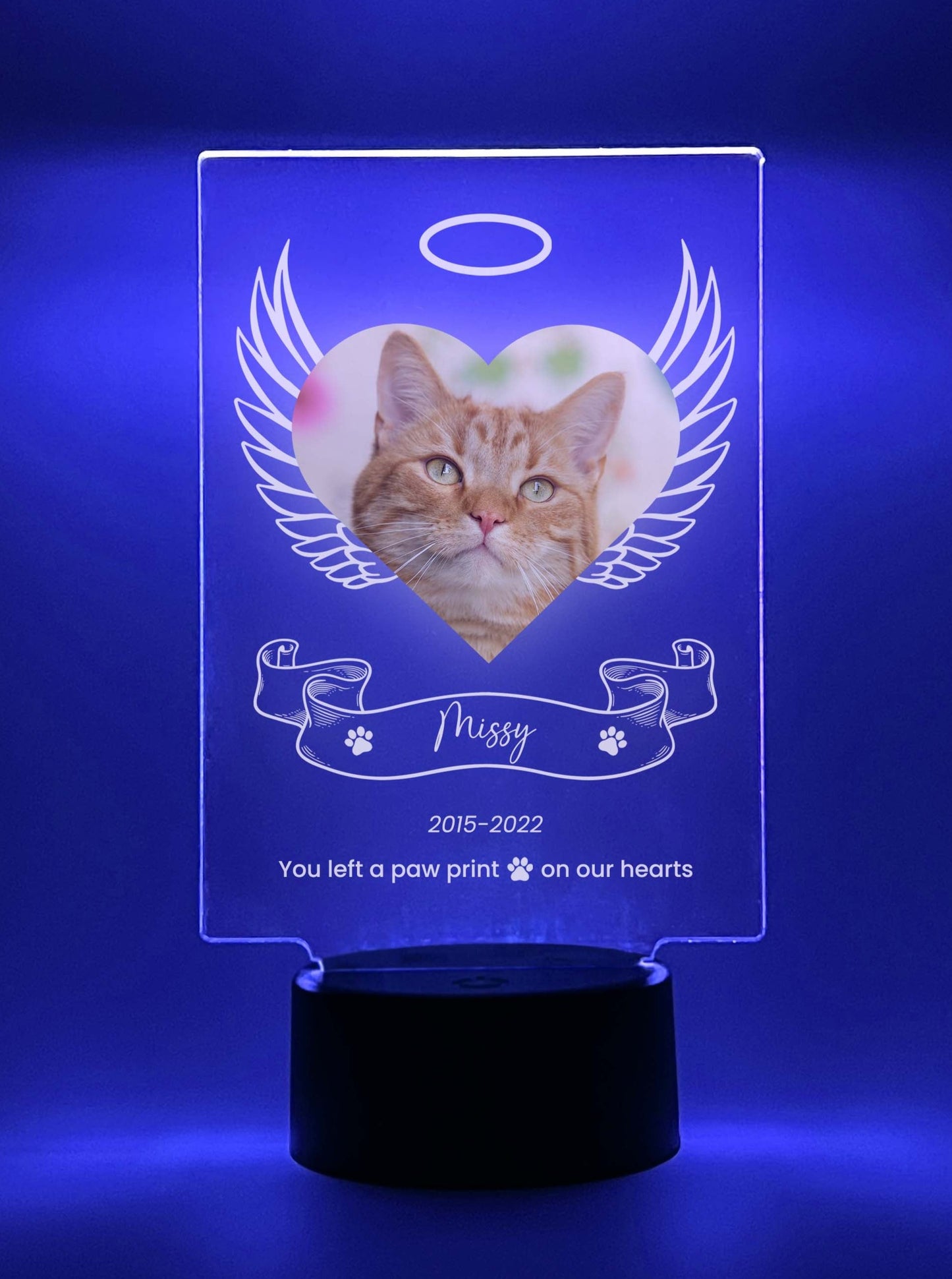 LED Light Up Pet Angel Wings Memorial Plaque, 16 Colors, Pet Memorial Night Light, Personalized Gifts for Pet Loss, Custom Pet Photo, Custom Pet Memorial Gifts