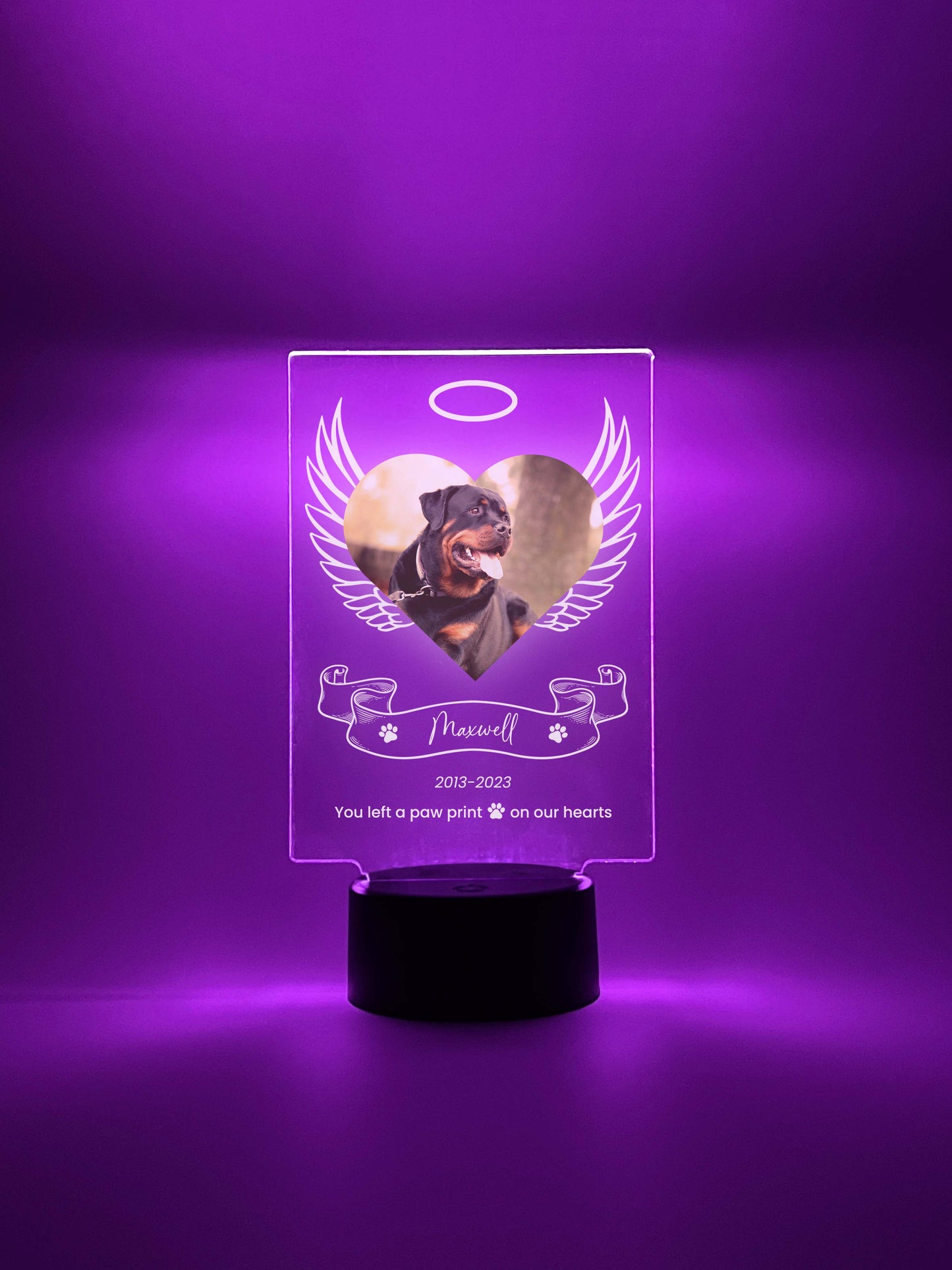 LED Light Up Pet Angel Wings Memorial Plaque, 16 Colors, Pet Memorial Night Light, Personalized Gifts for Pet Loss, Custom Pet Photo, Custom Pet Memorial Gifts