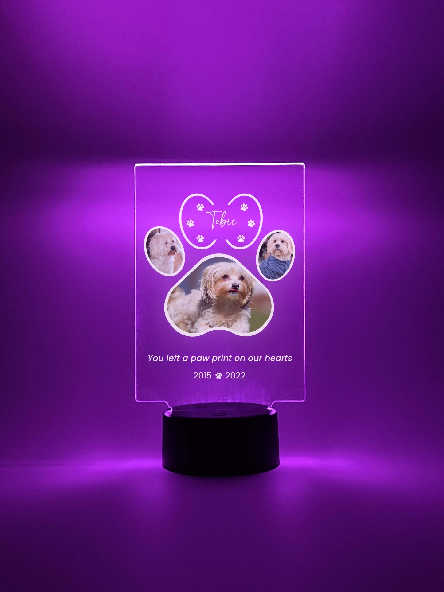 LED Light Up Pet Paw Memorial Plaque, 16 Colors, Pet Memorial Night Light, Personalized Gifts for Pet Loss, Custom Pet Photo, Custom Pet Memorial Gifts