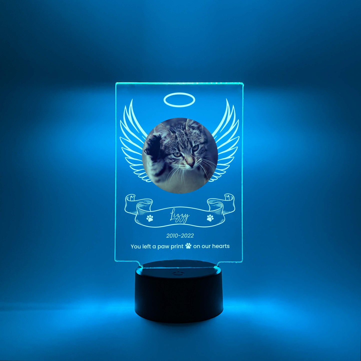 LED Light Up Pet Angel Wings Memorial Plaque, 16 Colors, Pet Memorial Night Light, Personalized Gifts for Pet Loss, Custom Pet Photo, Custom Pet Memorial Gifts