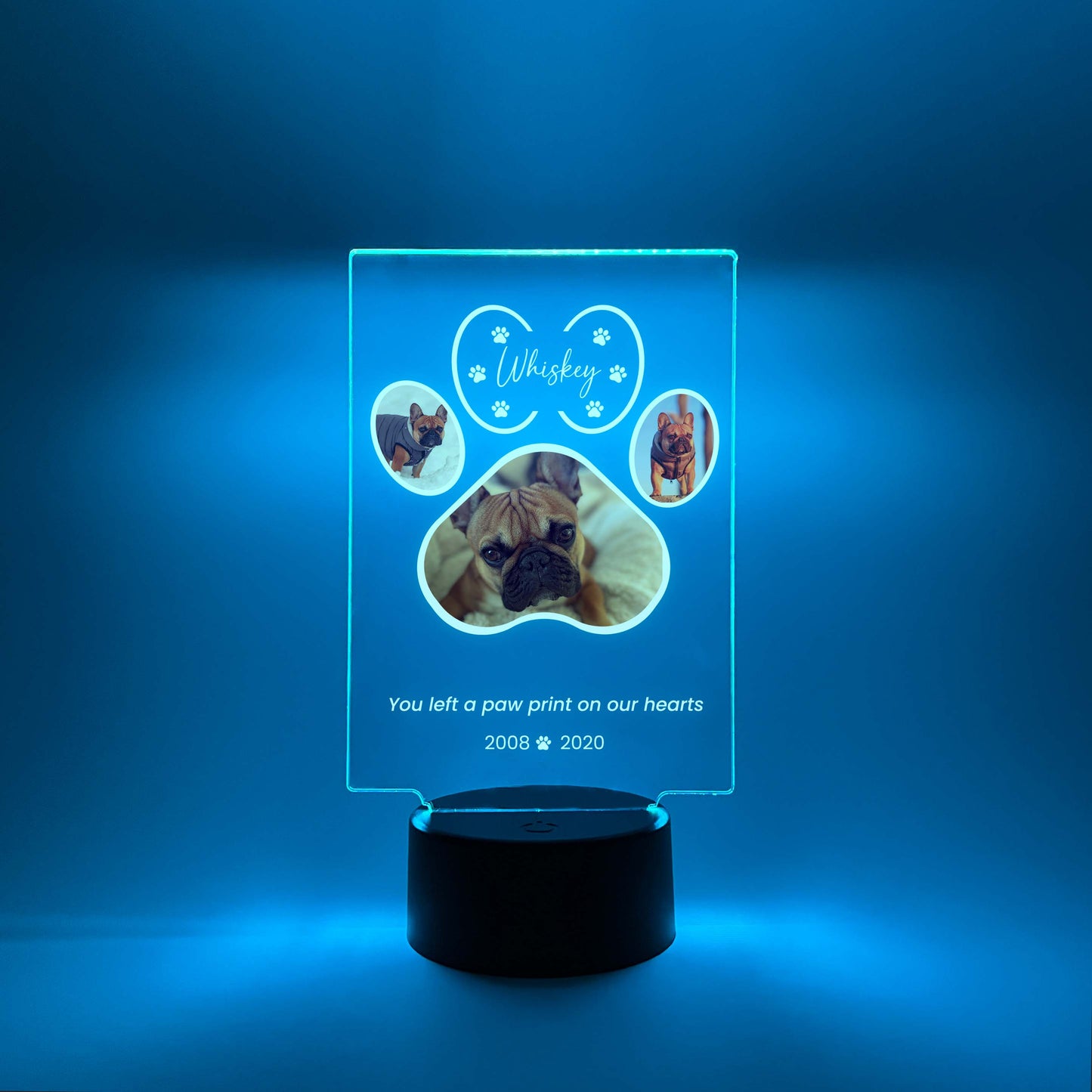 LED Light Up Pet Paw Memorial Plaque, 16 Colors, Pet Memorial Night Light, Personalized Gifts for Pet Loss, Custom Pet Photo, Custom Pet Memorial Gifts