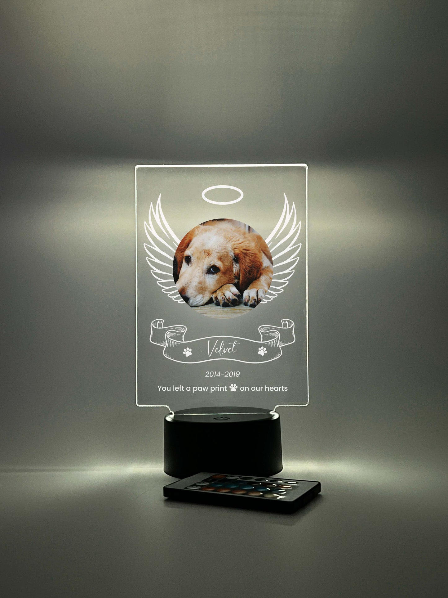 LED Light Up Pet Angel Wings Memorial Plaque, 16 Colors, Pet Memorial Night Light, Personalized Gifts for Pet Loss, Custom Pet Photo, Custom Pet Memorial Gifts