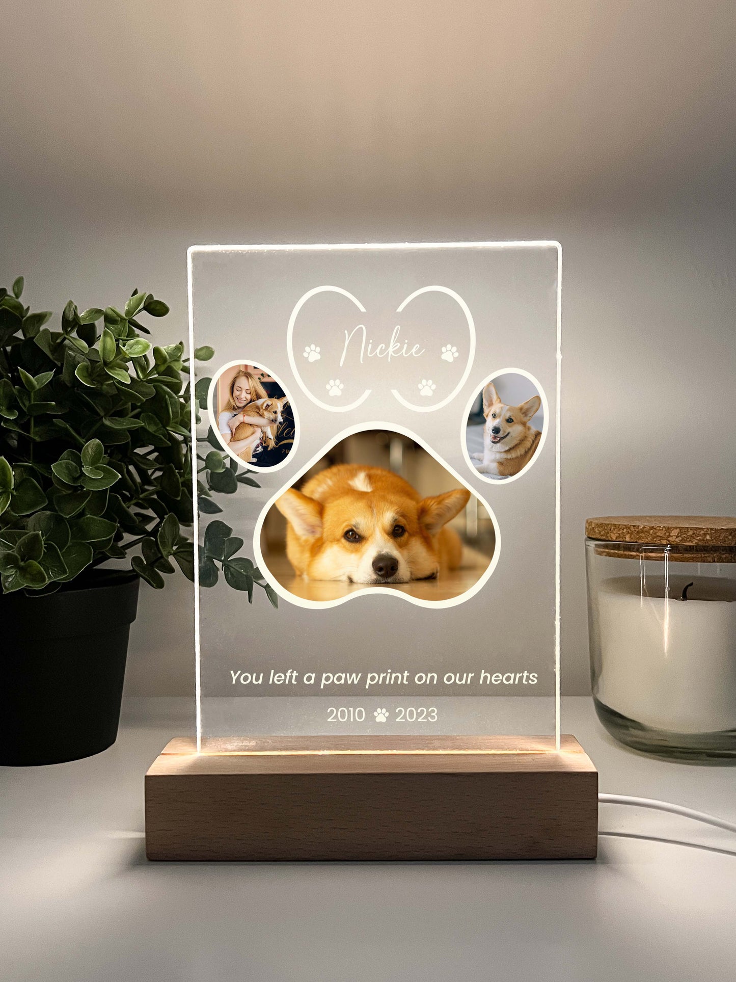 LED Light Up Pet Paw Memorial Plaque with Wooden Base, Pet Memorial Night Light, Personalized Gifts for Pet Loss, Custom Pet Photo, Custom Pet Memorial Gifts