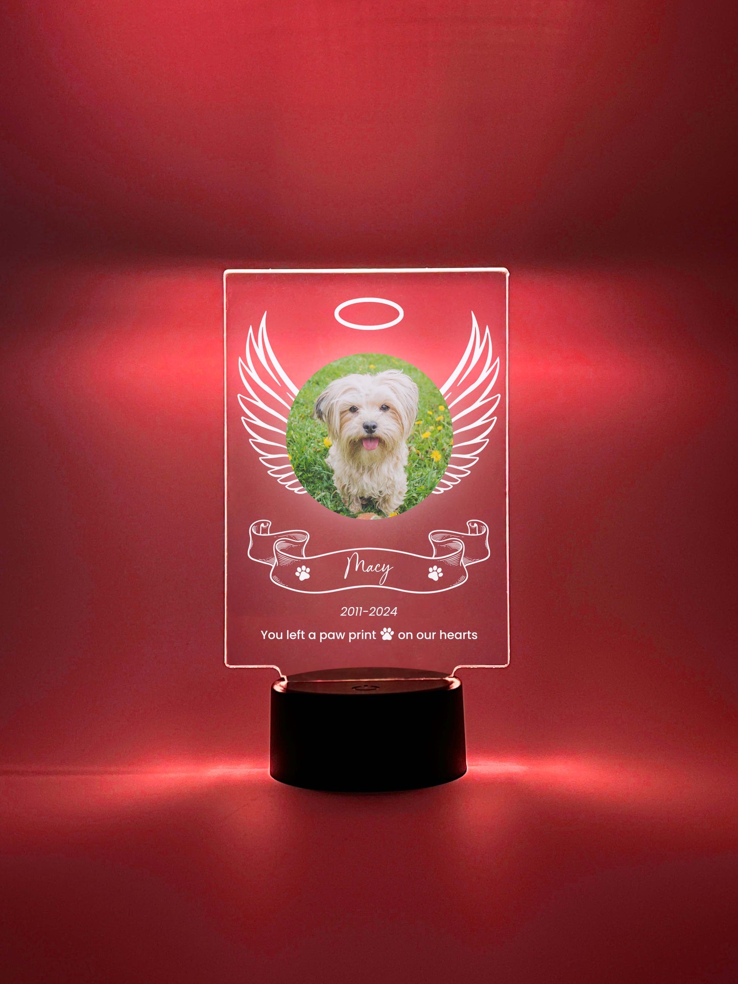 LED Light Up Pet Angel Wings Memorial Plaque, 16 Colors, Pet Memorial Night Light, Personalized Gifts for Pet Loss, Custom Pet Photo, Custom Pet Memorial Gifts