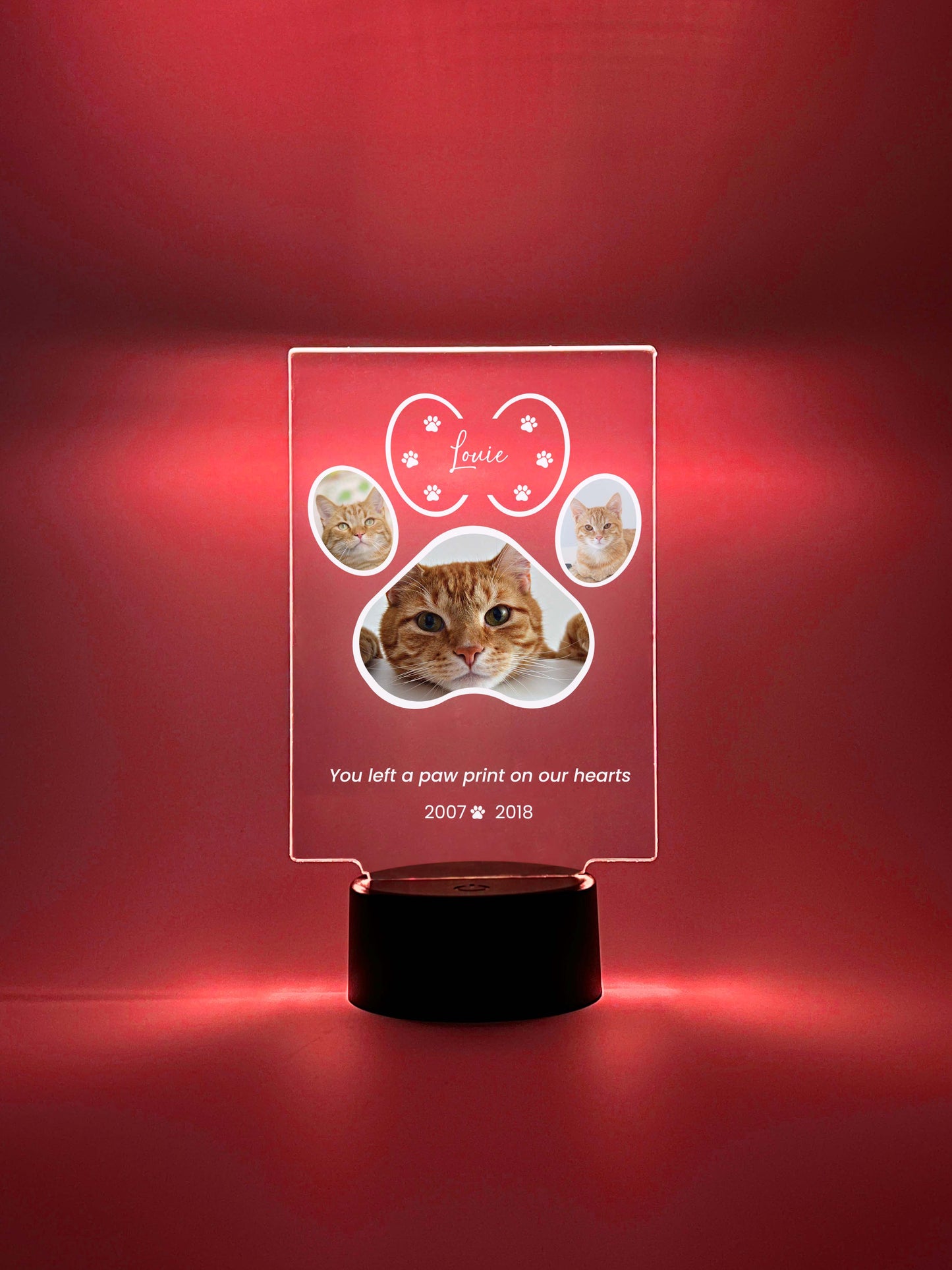 LED Light Up Pet Paw Memorial Plaque, 16 Colors, Pet Memorial Night Light, Personalized Gifts for Pet Loss, Custom Pet Photo, Custom Pet Memorial Gifts