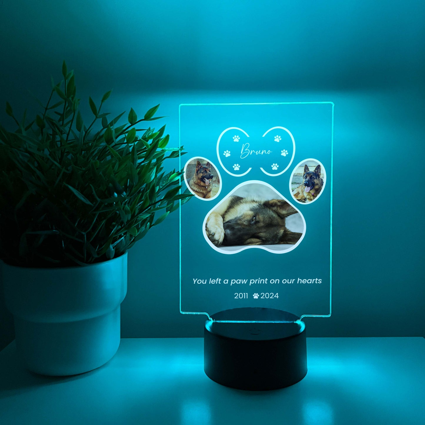 LED Light Up Pet Paw Memorial Plaque, 16 Colors, Pet Memorial Night Light, Personalized Gifts for Pet Loss, Custom Pet Photo, Custom Pet Memorial Gifts