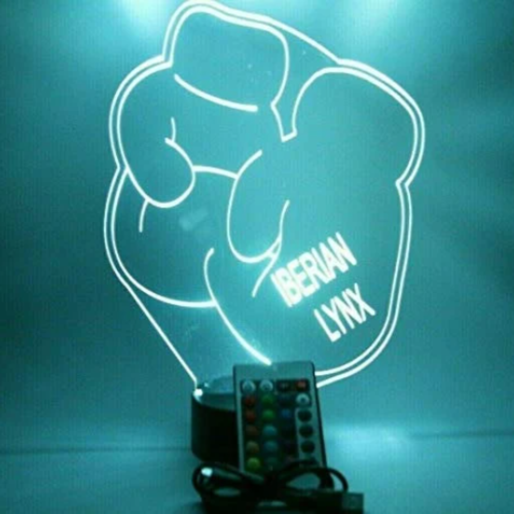 Boxing Gloves, Sports LED Tabletop Night Light Up Lamp, 16 Color options with Remote