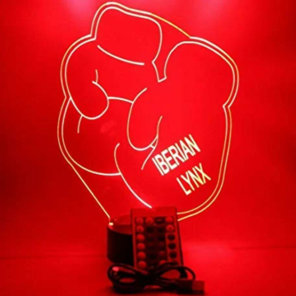 Boxing Gloves, Sports LED Tabletop Night Light Up Lamp, 16 Color options with Remote