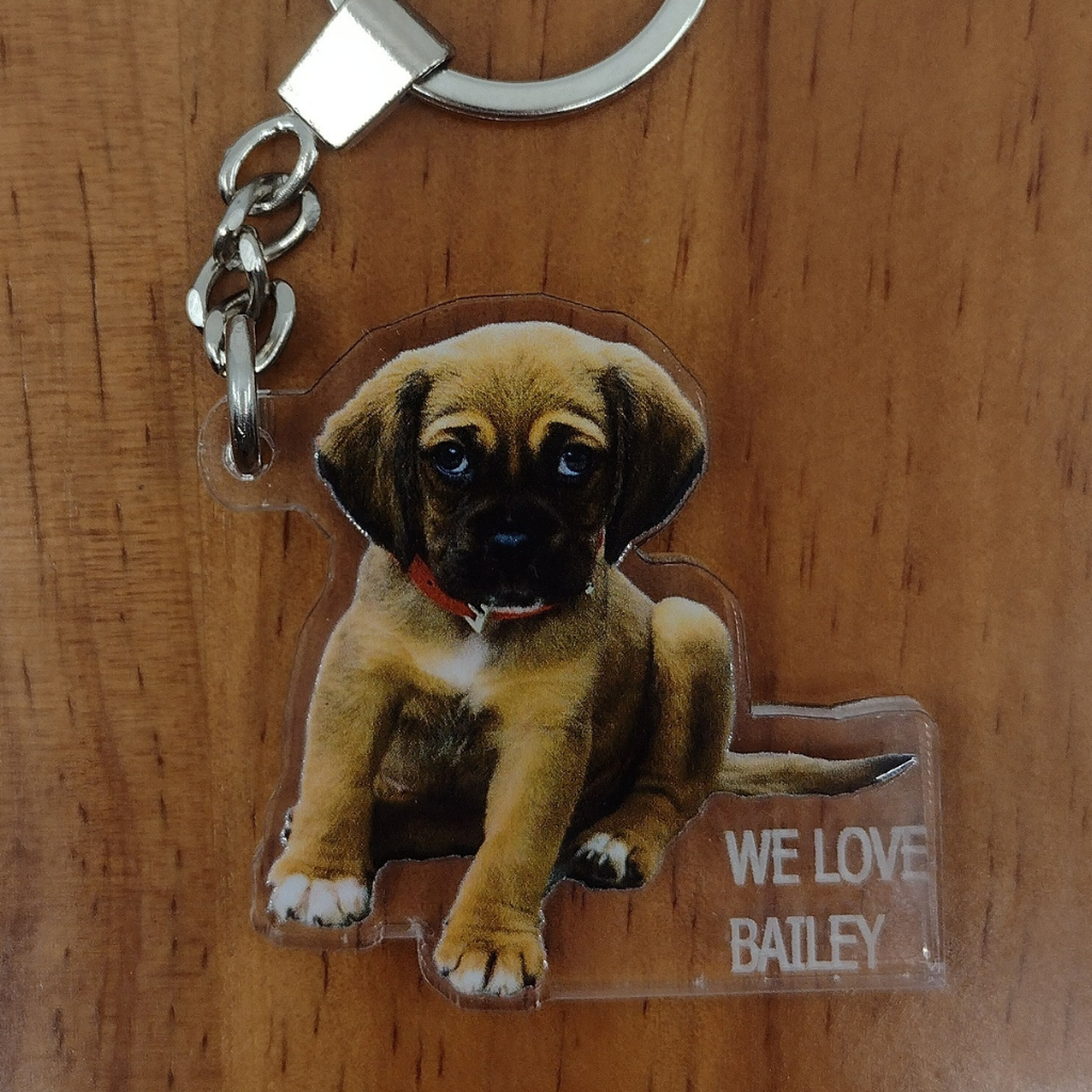 Custom Dog Photo UV Printed Key Chain