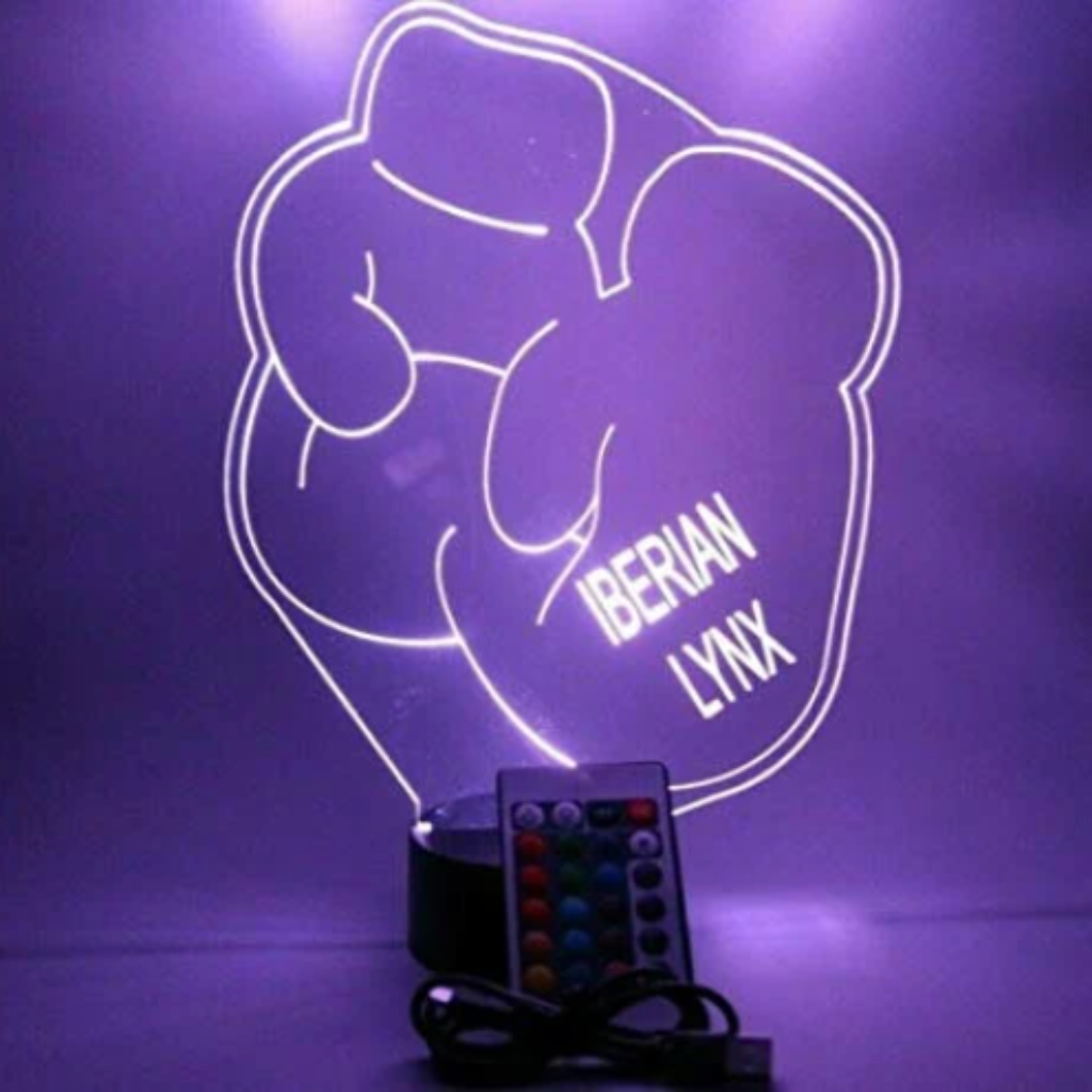 Boxing Gloves, Sports LED Tabletop Night Light Up Lamp, 16 Color options with Remote