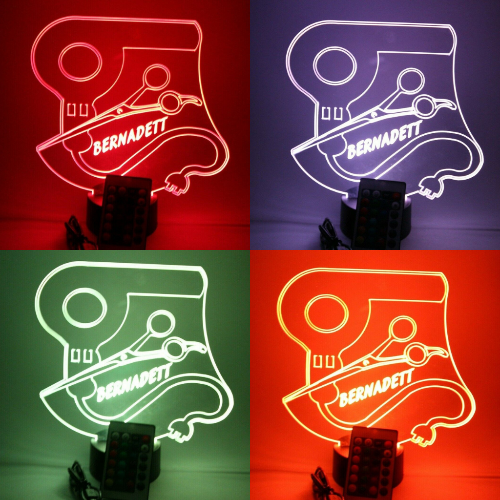 Blow Dryer and Scissors Custom Name LED Tabletop Night Light Up Lamp,16 Color options with Remote