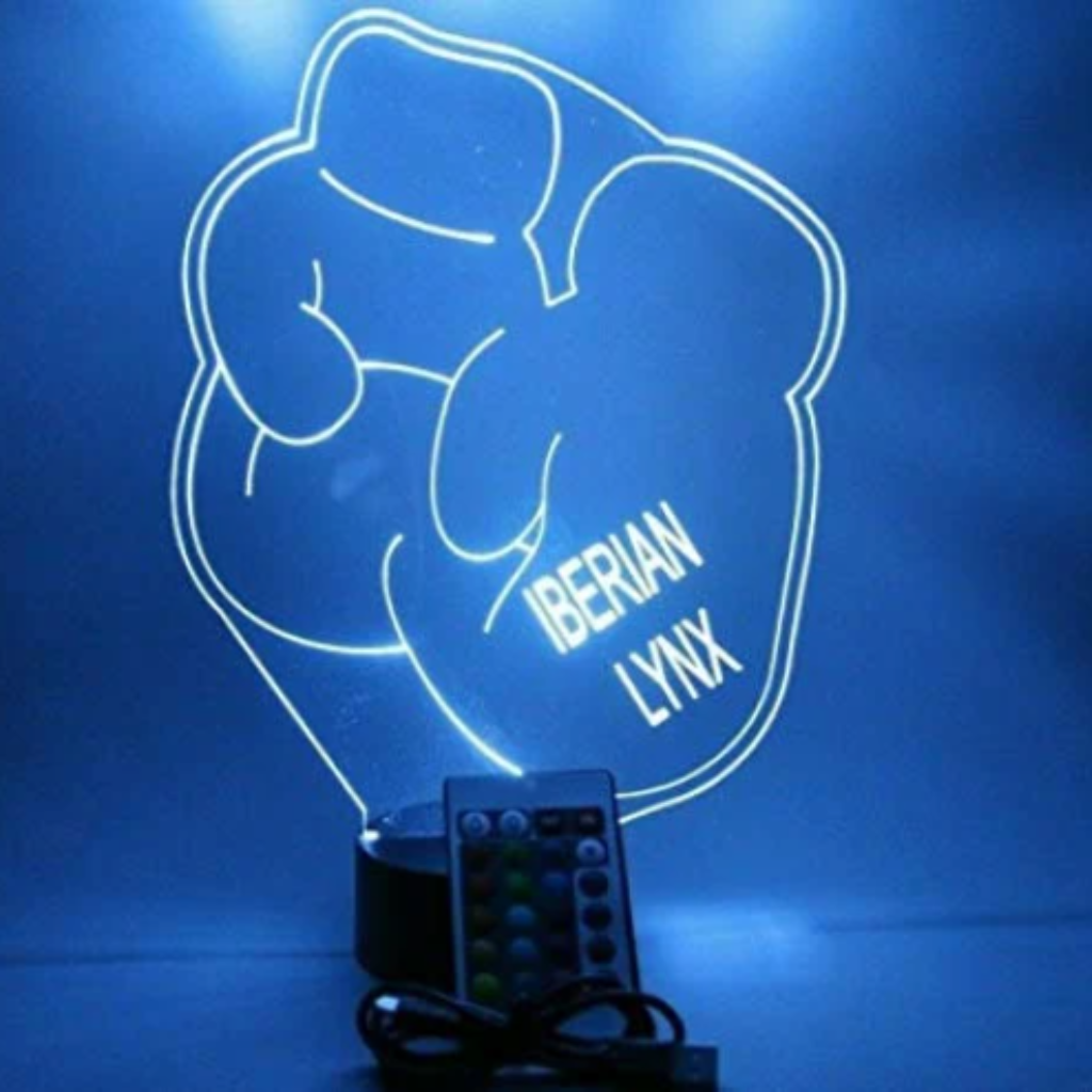 Boxing Gloves, Sports LED Tabletop Night Light Up Lamp, 16 Color options with Remote