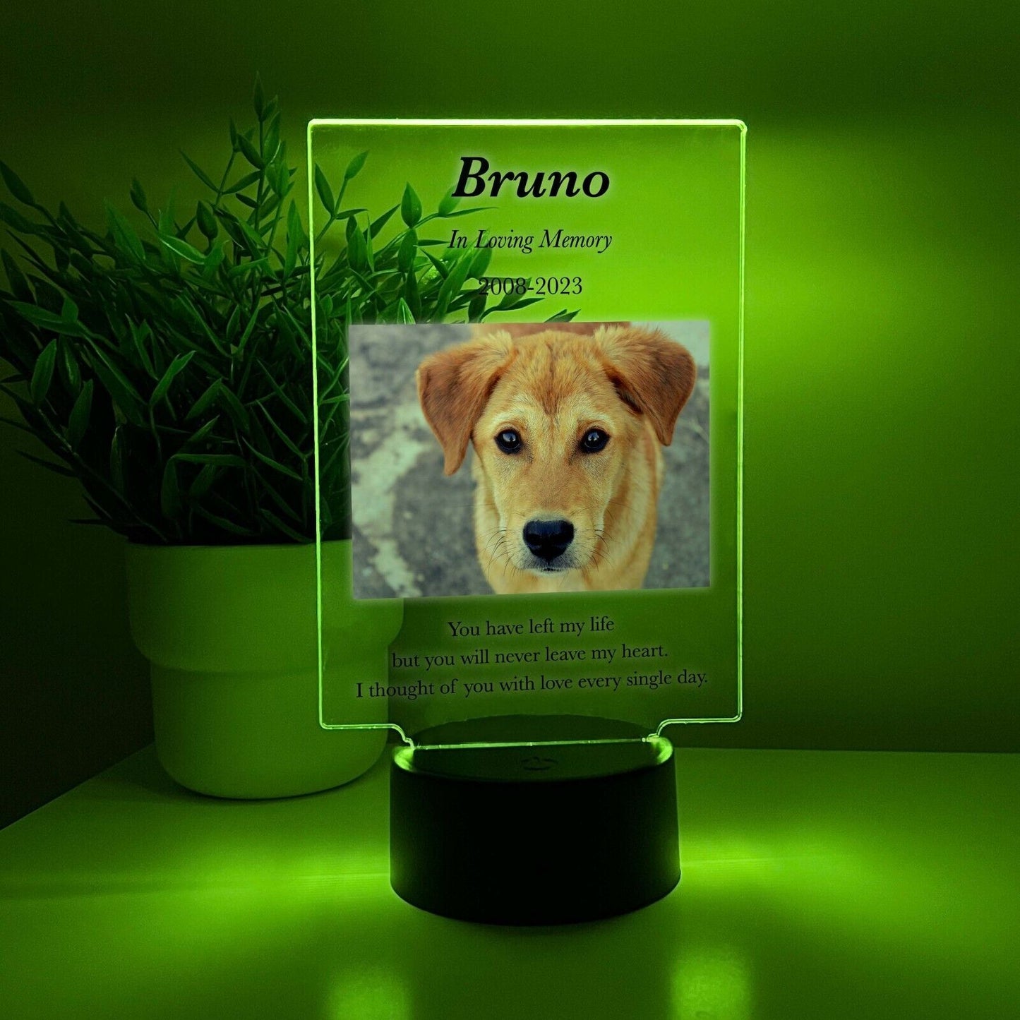 Personalized LED 16 Colors Light Up Stand Pet Dog Cat Memorial Gift w/Remote