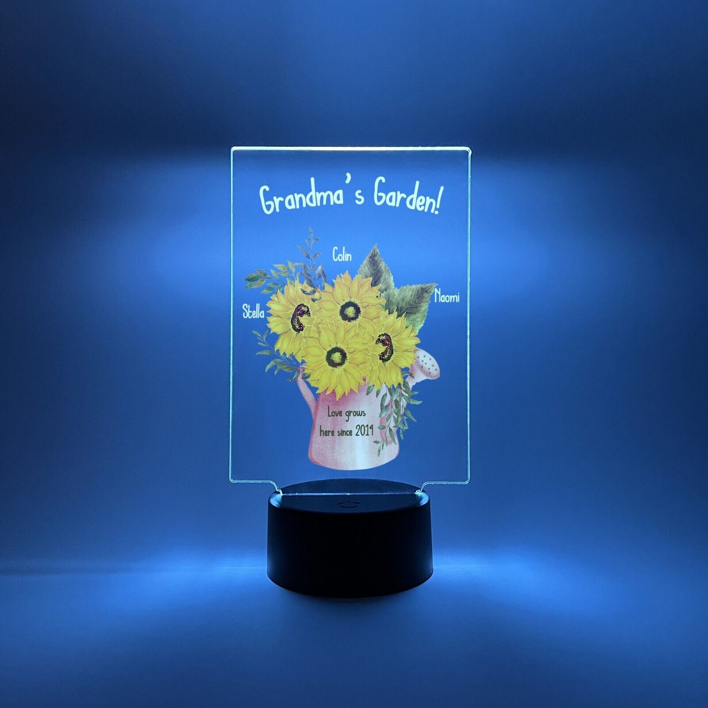 Personalized LED 16 Colors Light Up Flower Jar Grandma Garden Desk Stand