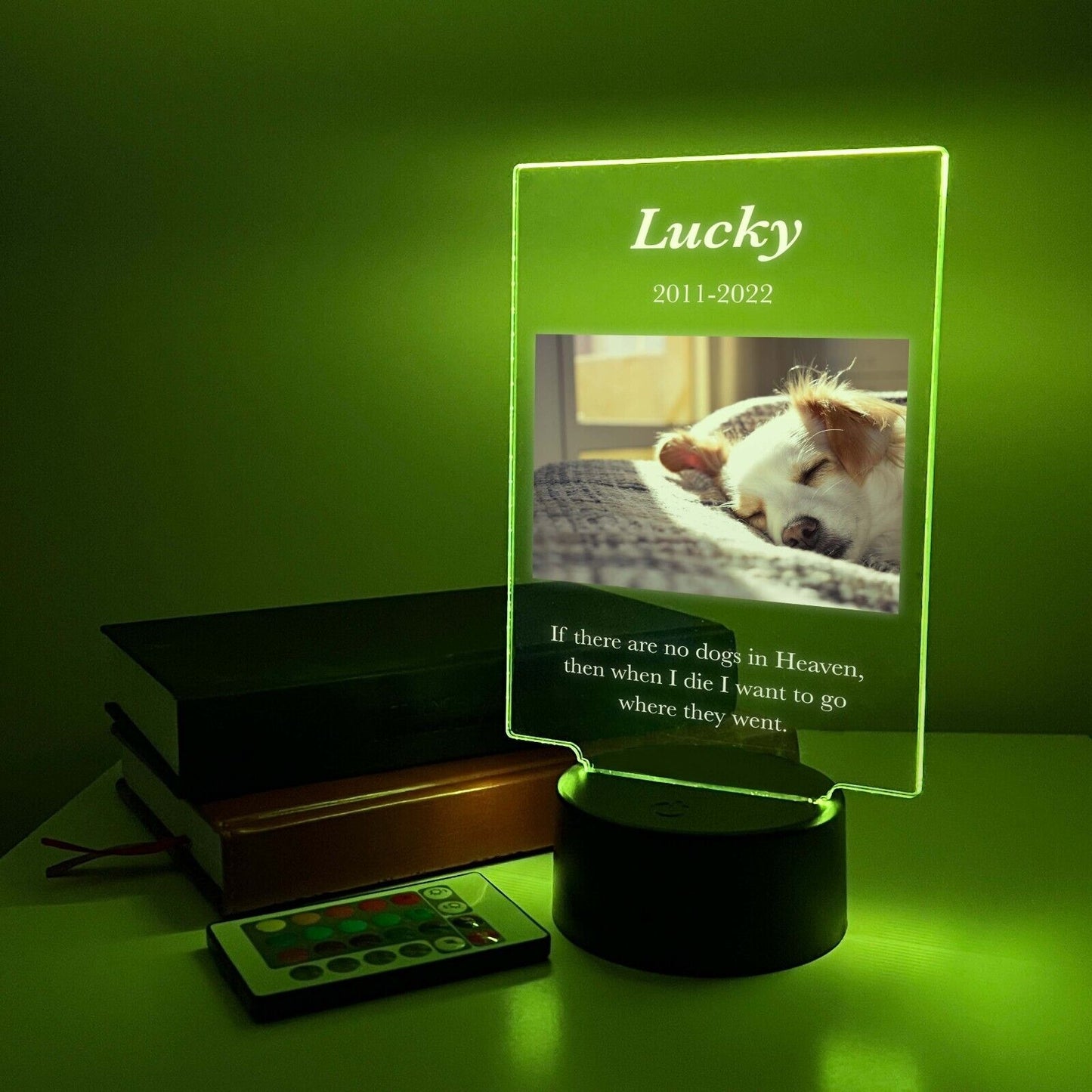 Personalized LED 16 Colors Light Up Stand Pet Dog Cat Memorial Gift w/Remote