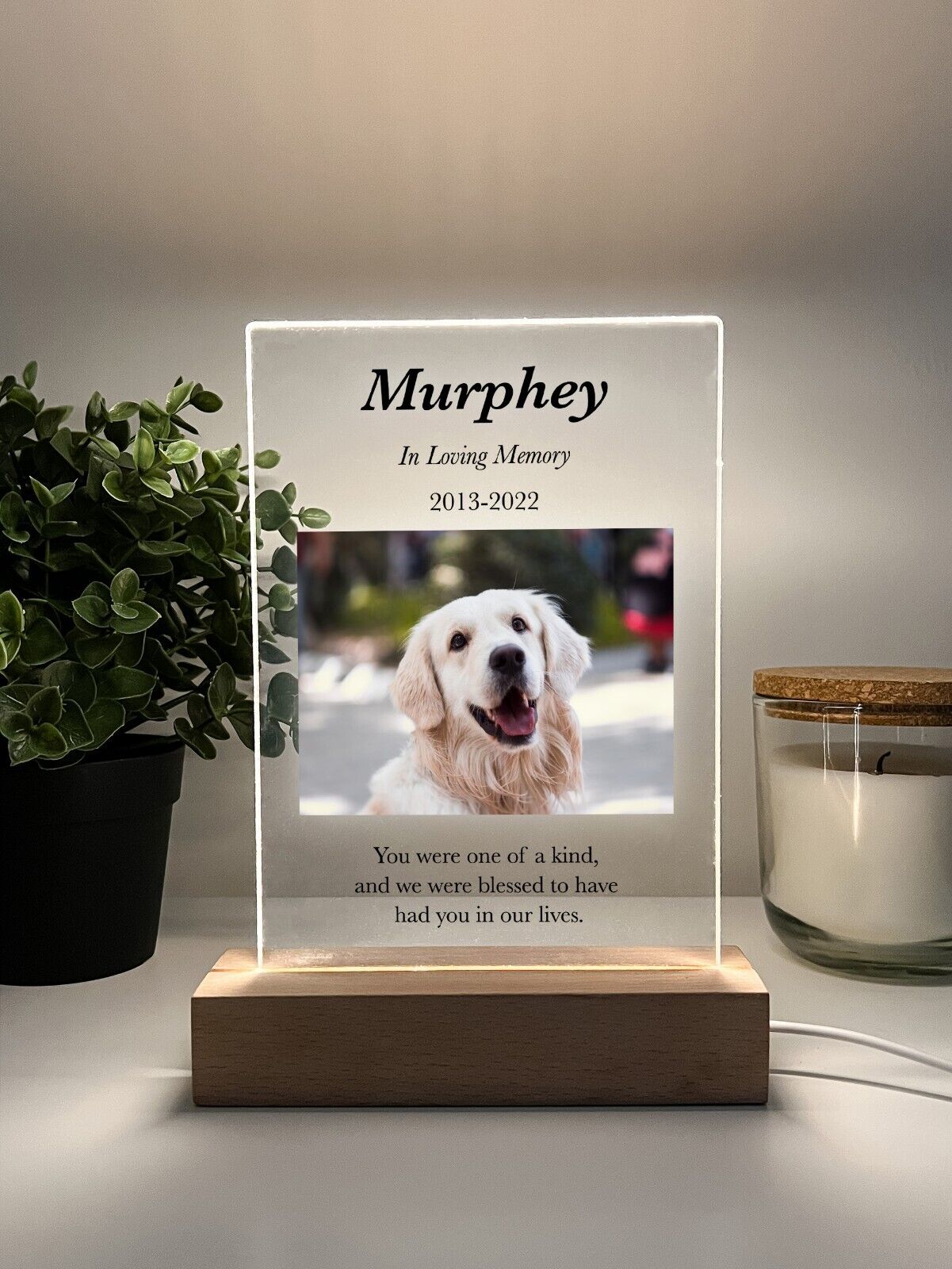 Personalized LED Light Up Wood Stand Pet Dog Cat Remembrance Memorial Gift