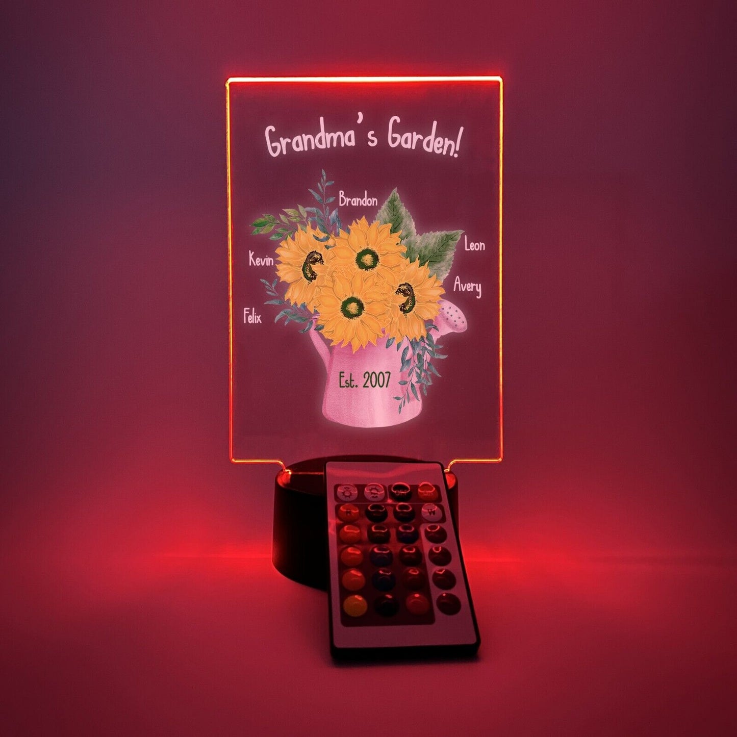 Personalized LED 16 Colors Light Up Flower Jar Grandma Garden Desk Stand