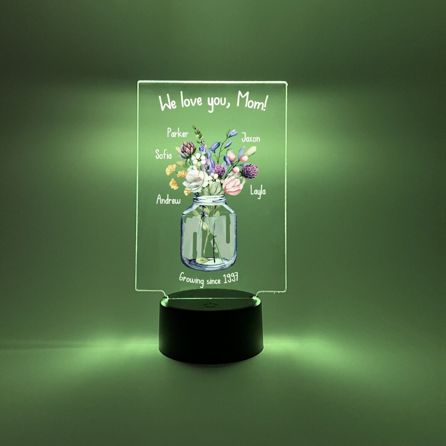 Personalized LED 16 Colors Light Up Flower Jar Mom Mother Day Desk Stand