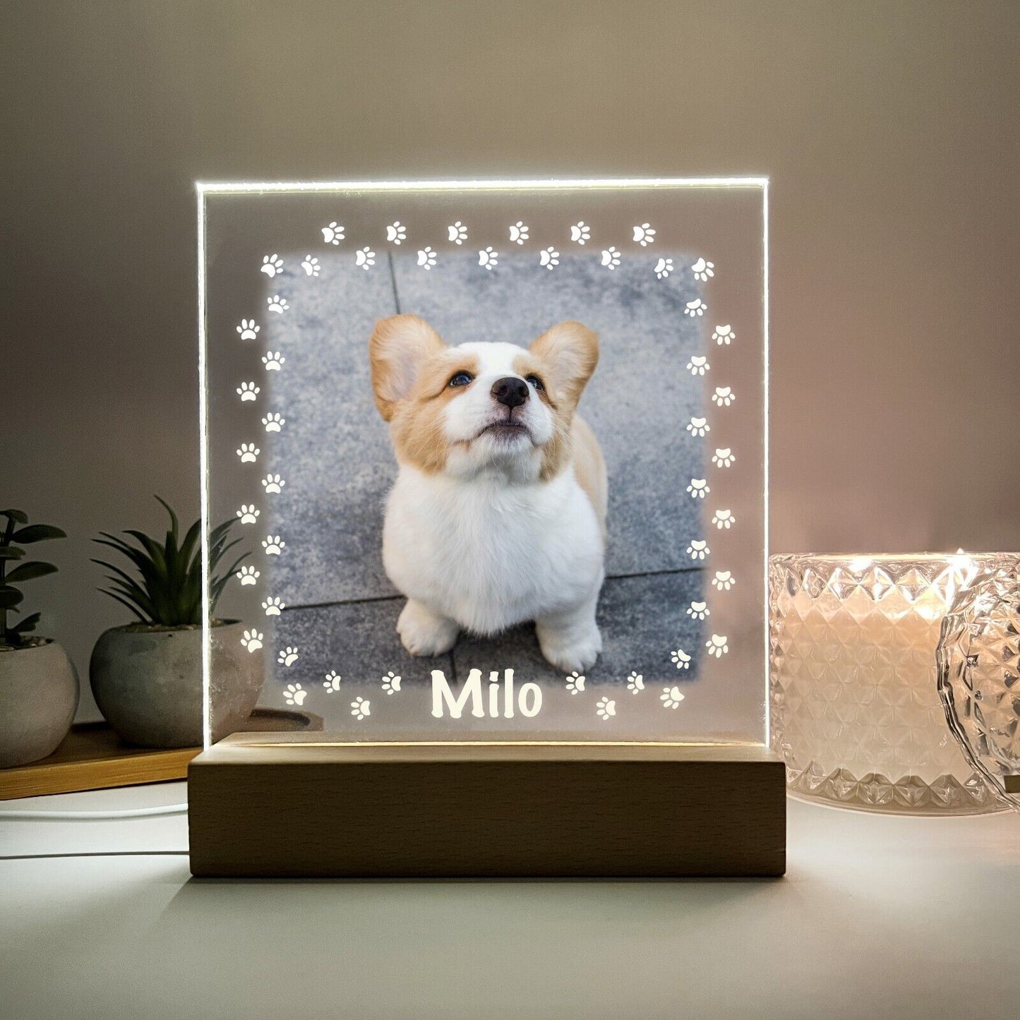 Personalized LED Light Up Wood Stand Pet Dogs Puppy Paw Prints Gift