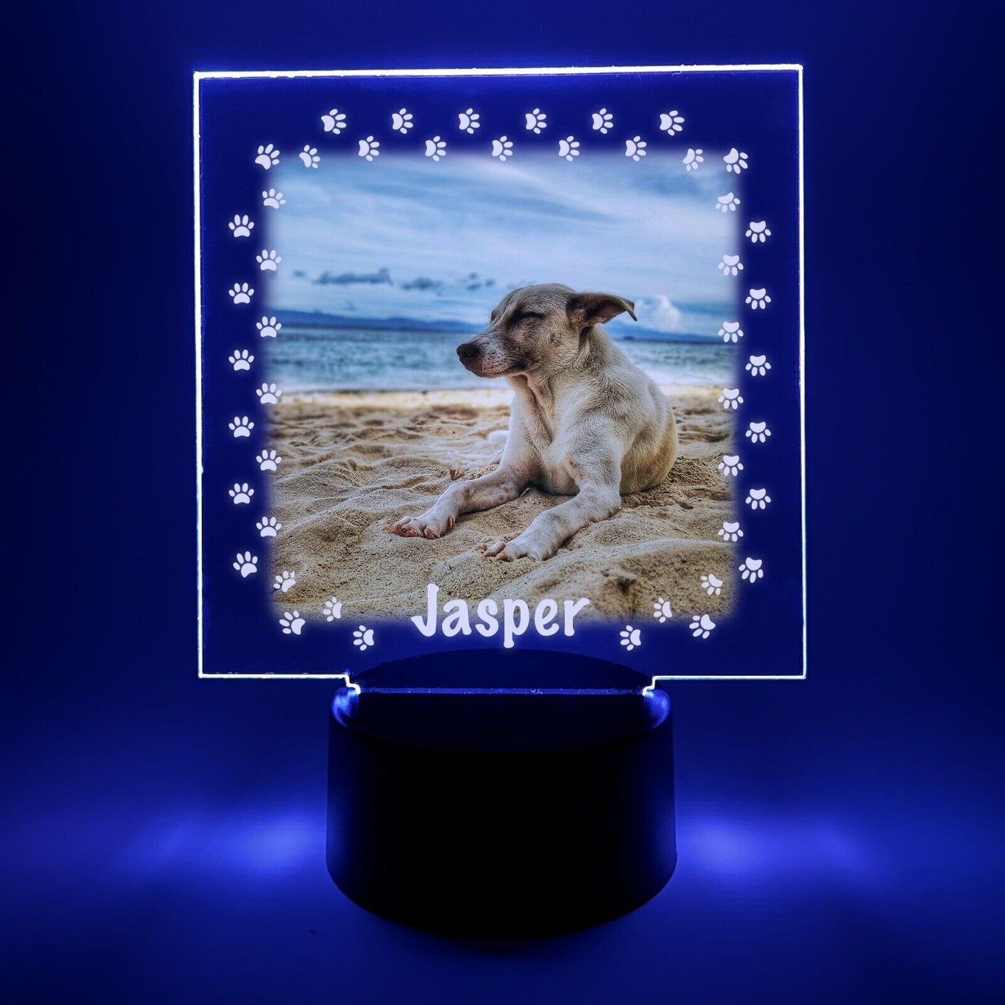 Personalized LED 16 Colors Light Up Stand Puppy Dog Pawprints Pet Gift w/Remote