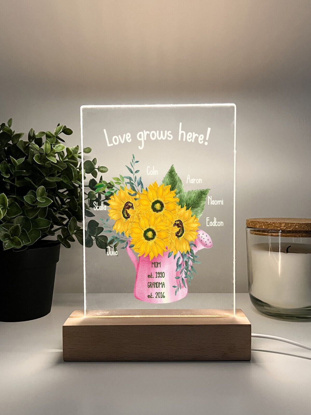 Personalized LED Light Up Flower Jar Stand Grandma Garden Home Gift