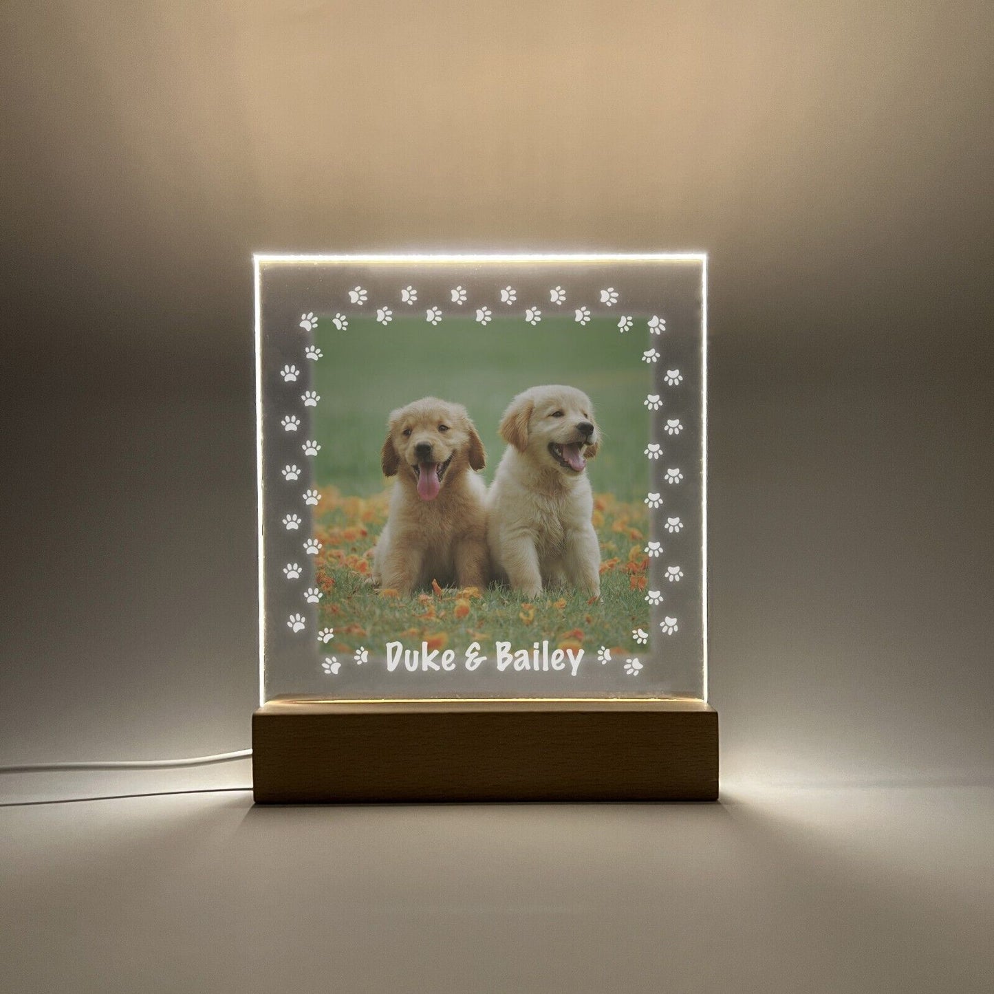 Personalized LED Light Up Wood Stand Pet Dogs Puppy Paw Prints Gift