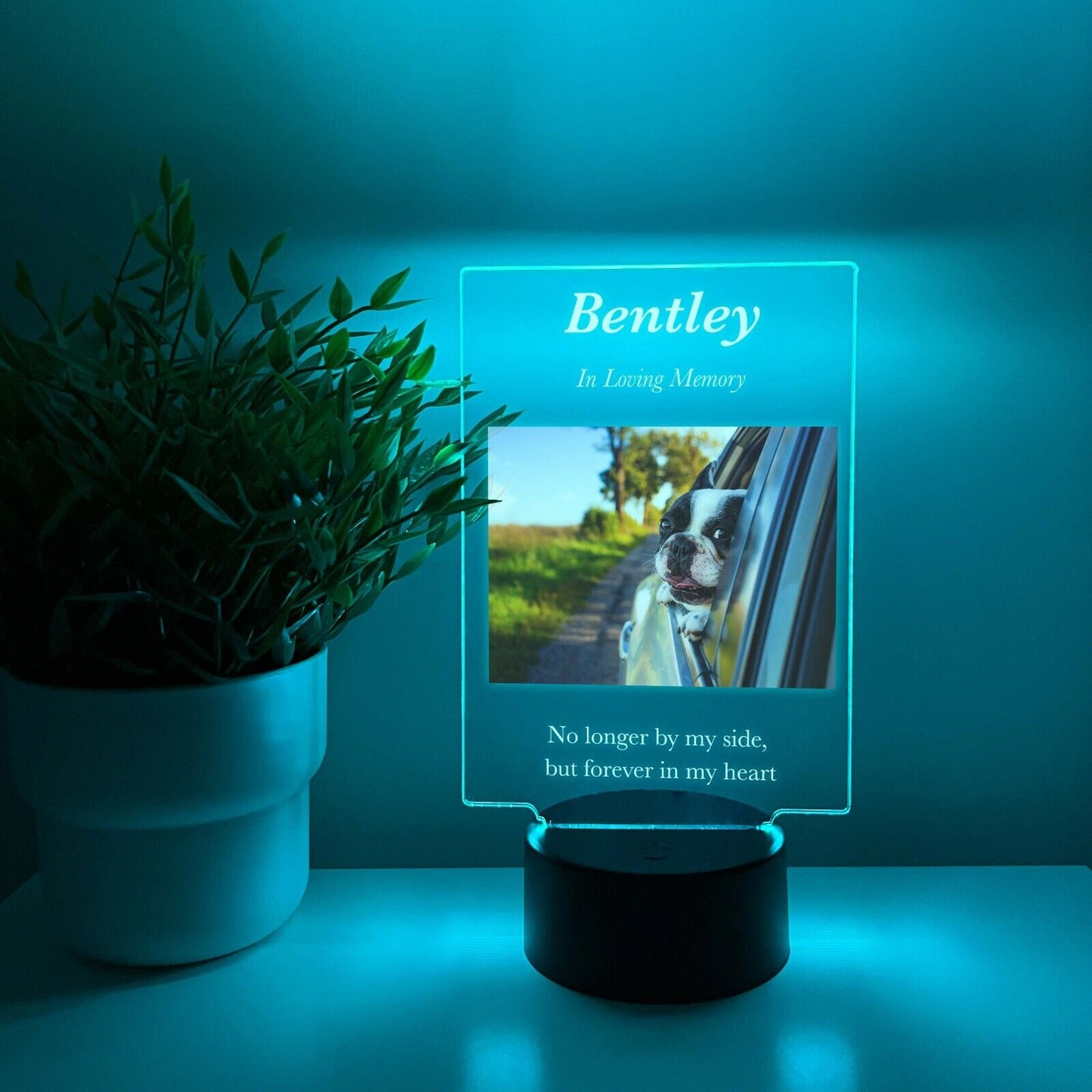 Personalized LED 16 Colors Light Up Stand Pet Dog Cat Memorial Gift w/Remote