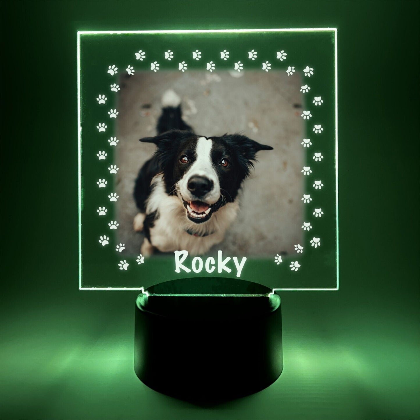 Personalized LED 16 Colors Light Up Stand Puppy Dog Pawprints Pet Gift w/Remote