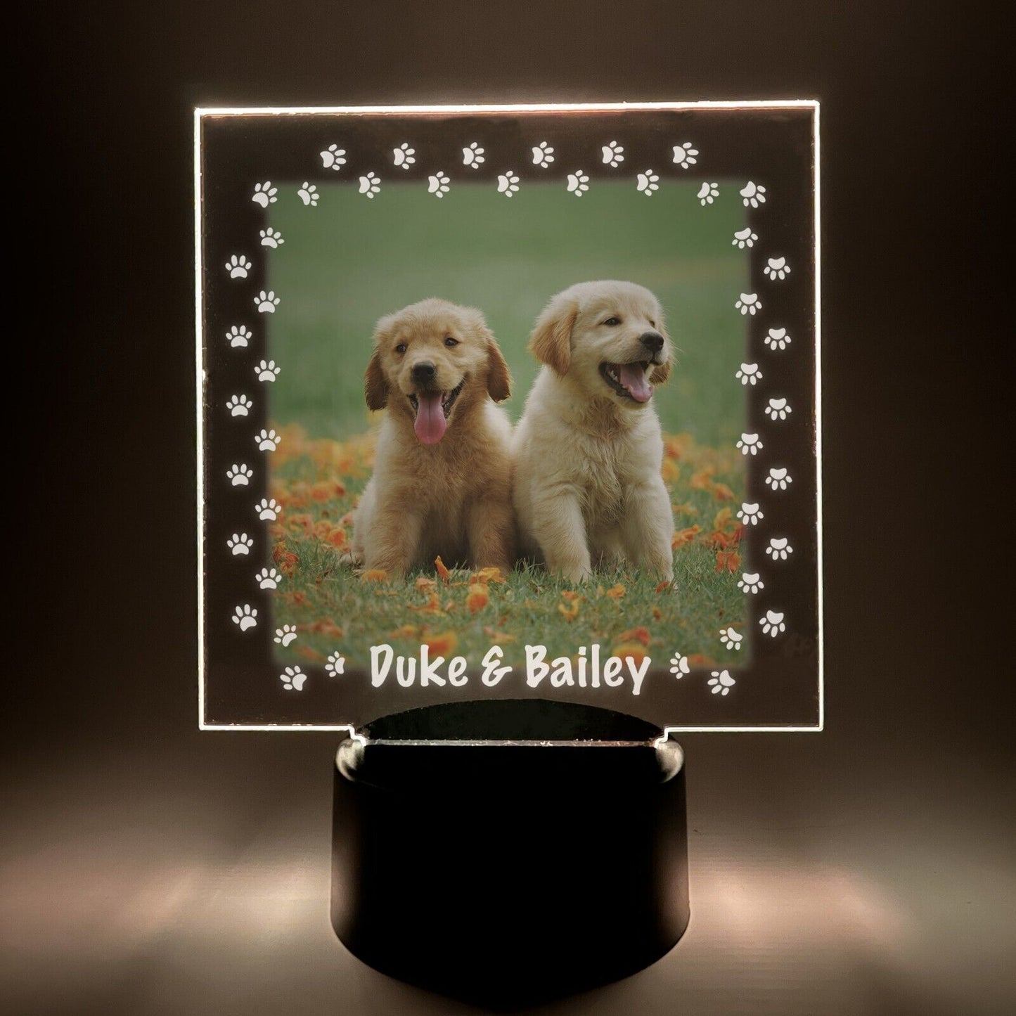 Personalized LED 16 Colors Light Up Stand Puppy Dog Pawprints Pet Gift w/Remote