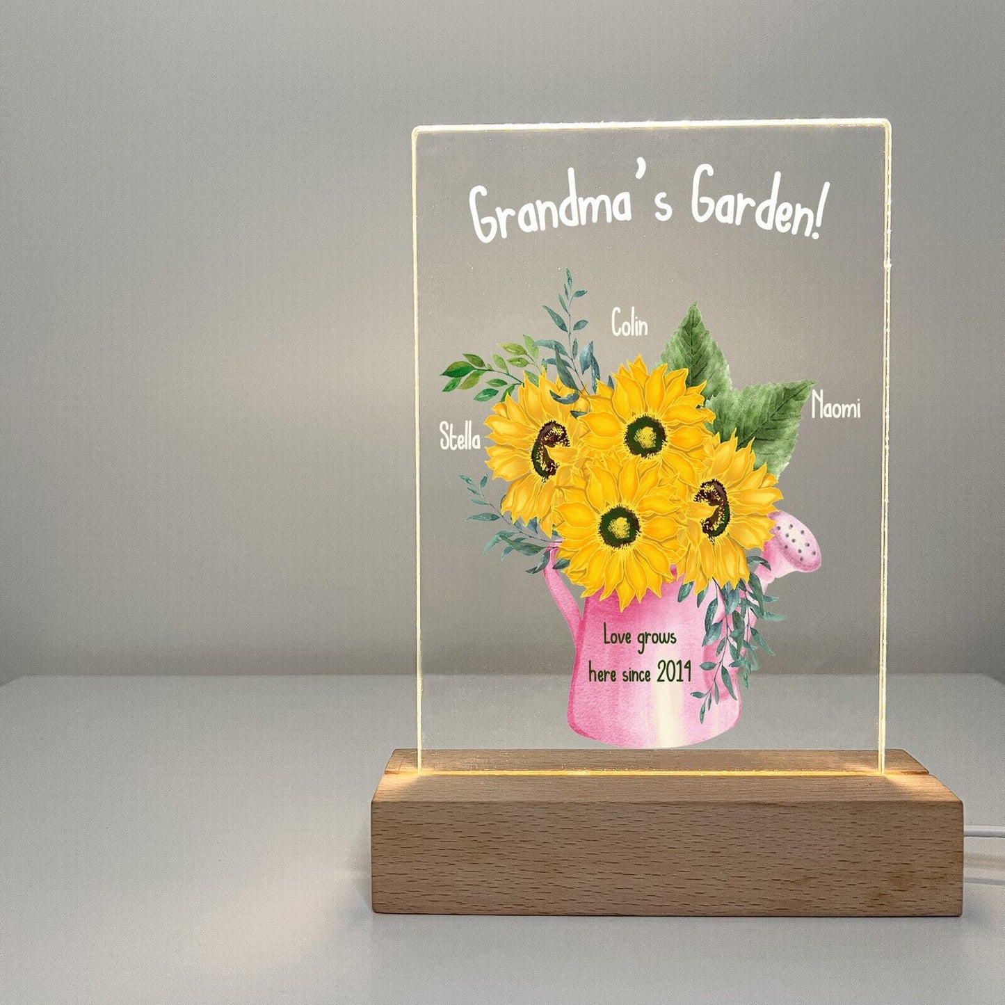 Personalized LED Light Up Flower Jar Stand Grandma Garden Home Gift