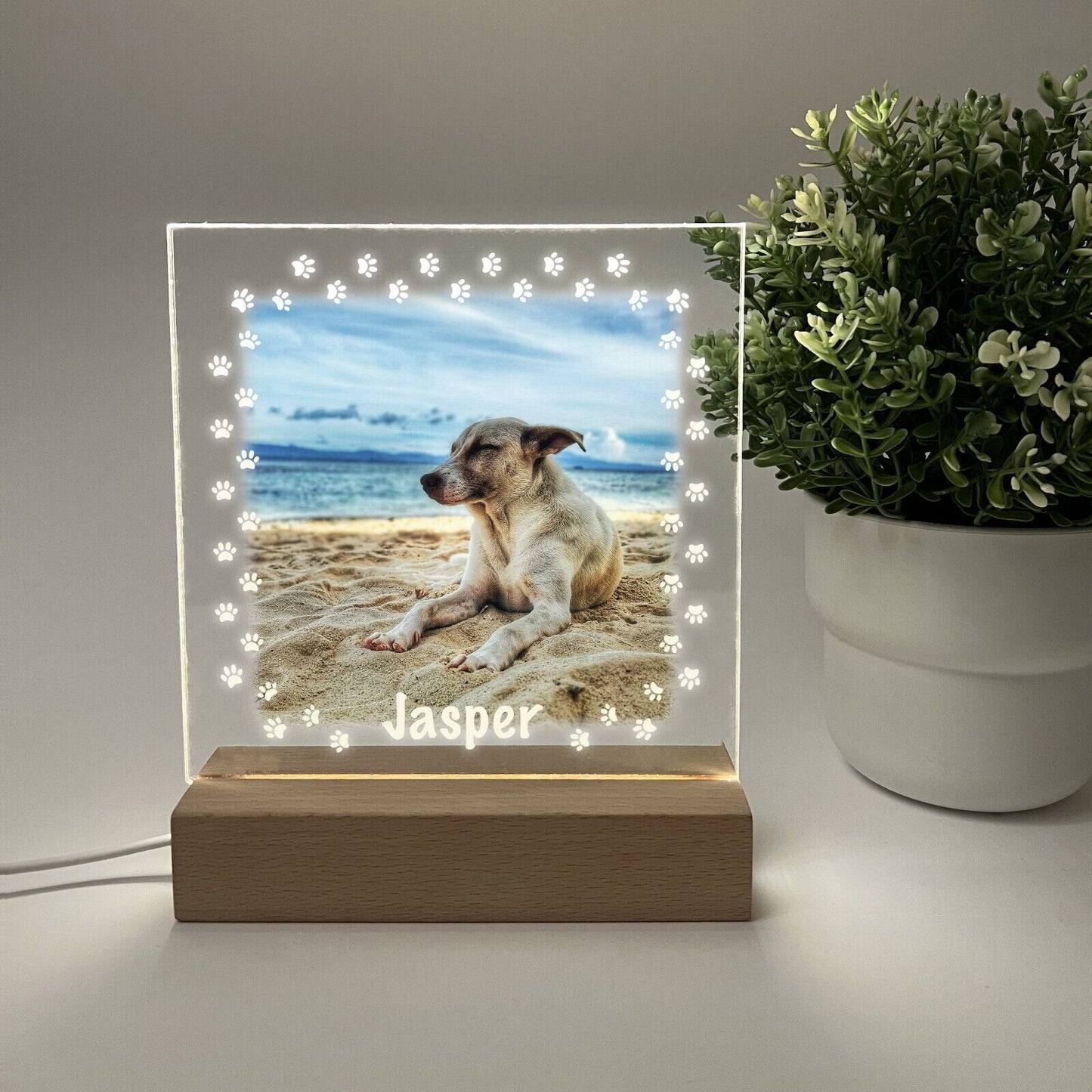 Personalized LED Light Up Wood Stand Pet Dogs Puppy Paw Prints Gift
