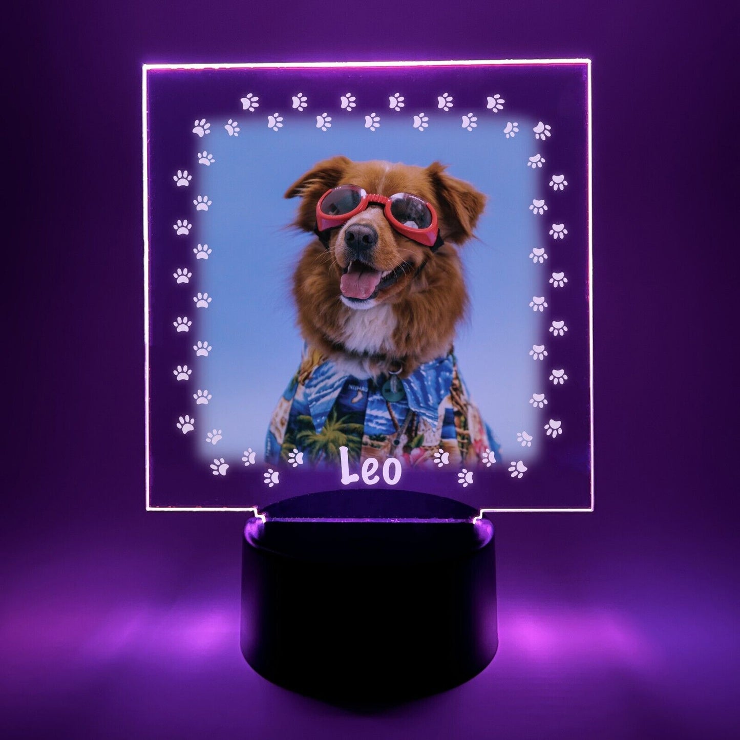 Personalized LED 16 Colors Light Up Stand Puppy Dog Pawprints Pet Gift w/Remote