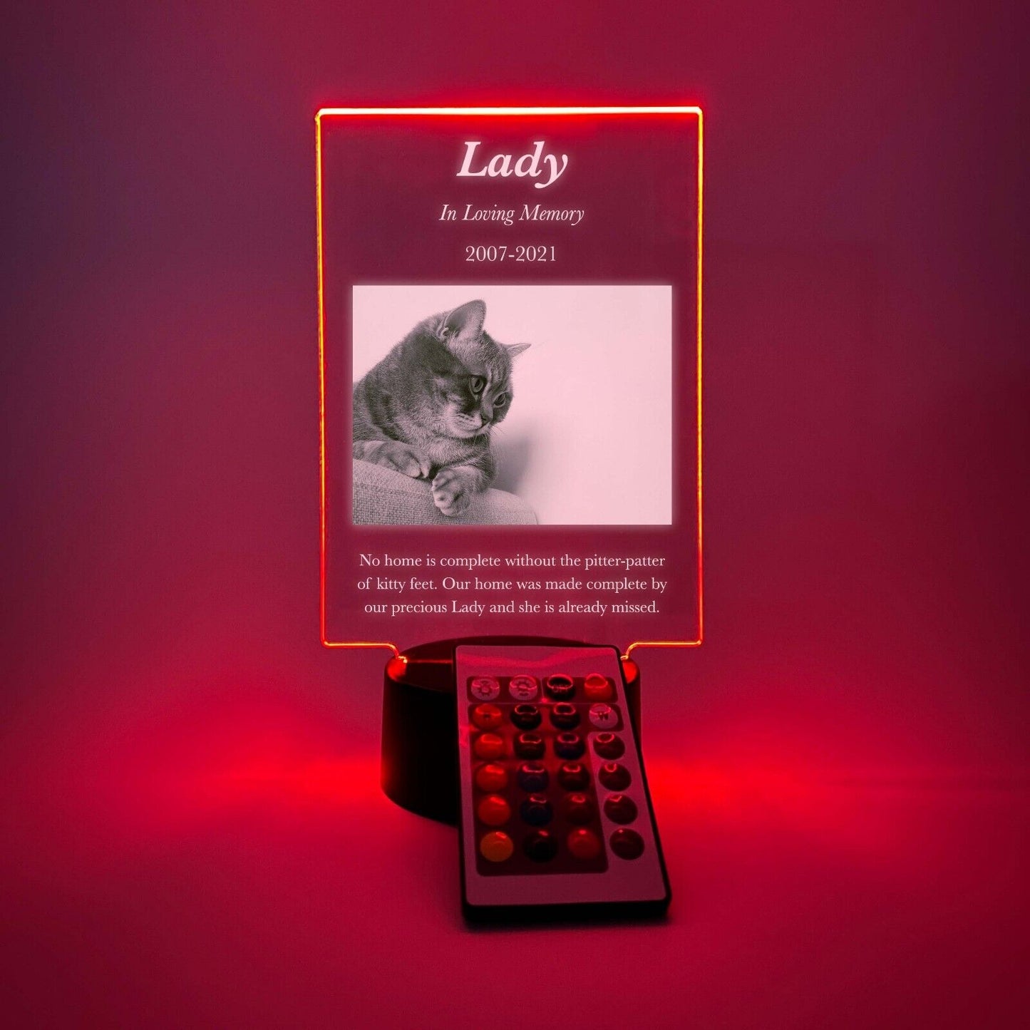 Personalized LED 16 Colors Light Up Stand Pet Dog Cat Memorial Gift w/Remote