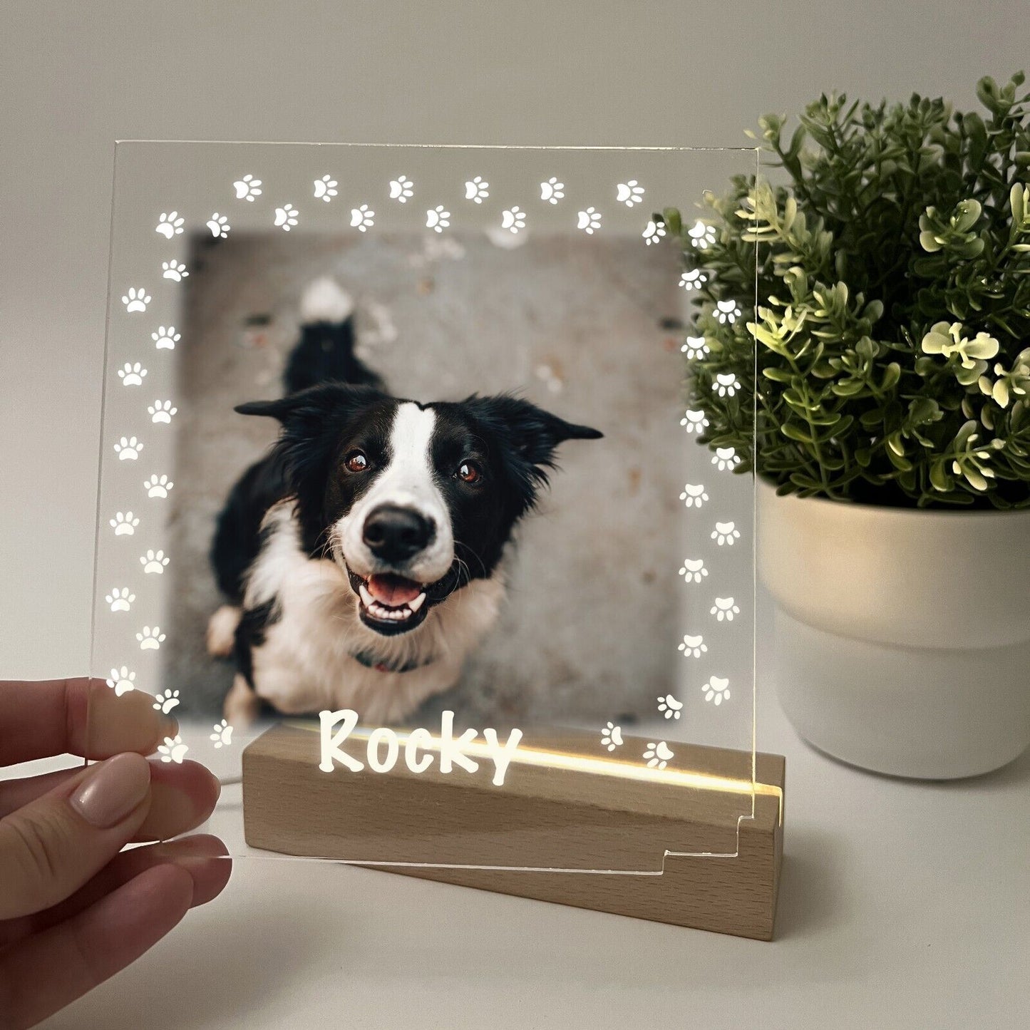 Personalized LED Light Up Wood Stand Pet Dogs Puppy Paw Prints Gift