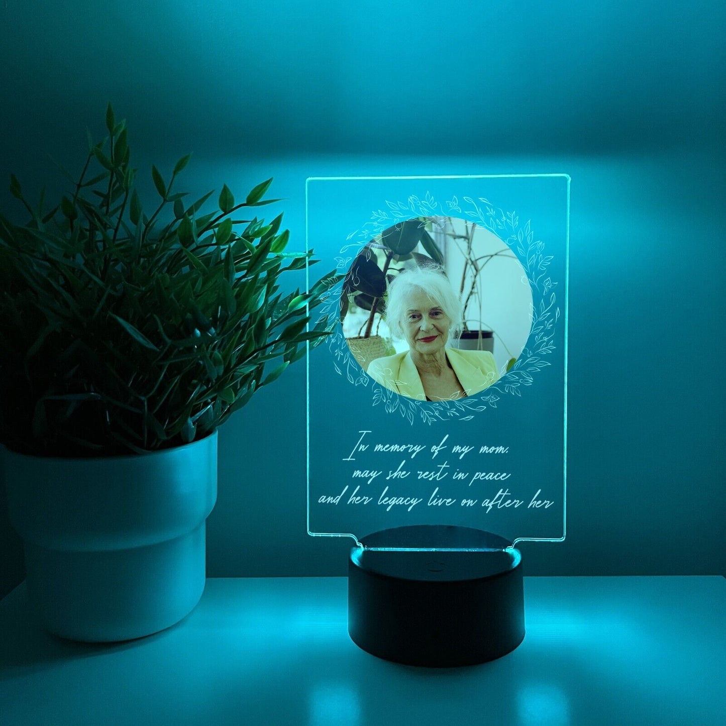 PERSONALIZED Grievance RGB Light LED Custom Photo Memorial Gift Sympathy Plaque