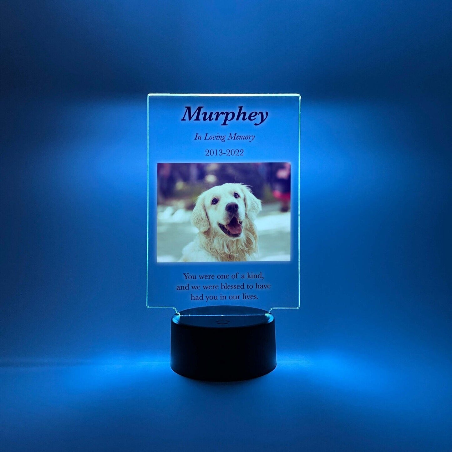 Personalized LED 16 Colors Light Up Stand Pet Dog Cat Memorial Gift w/Remote