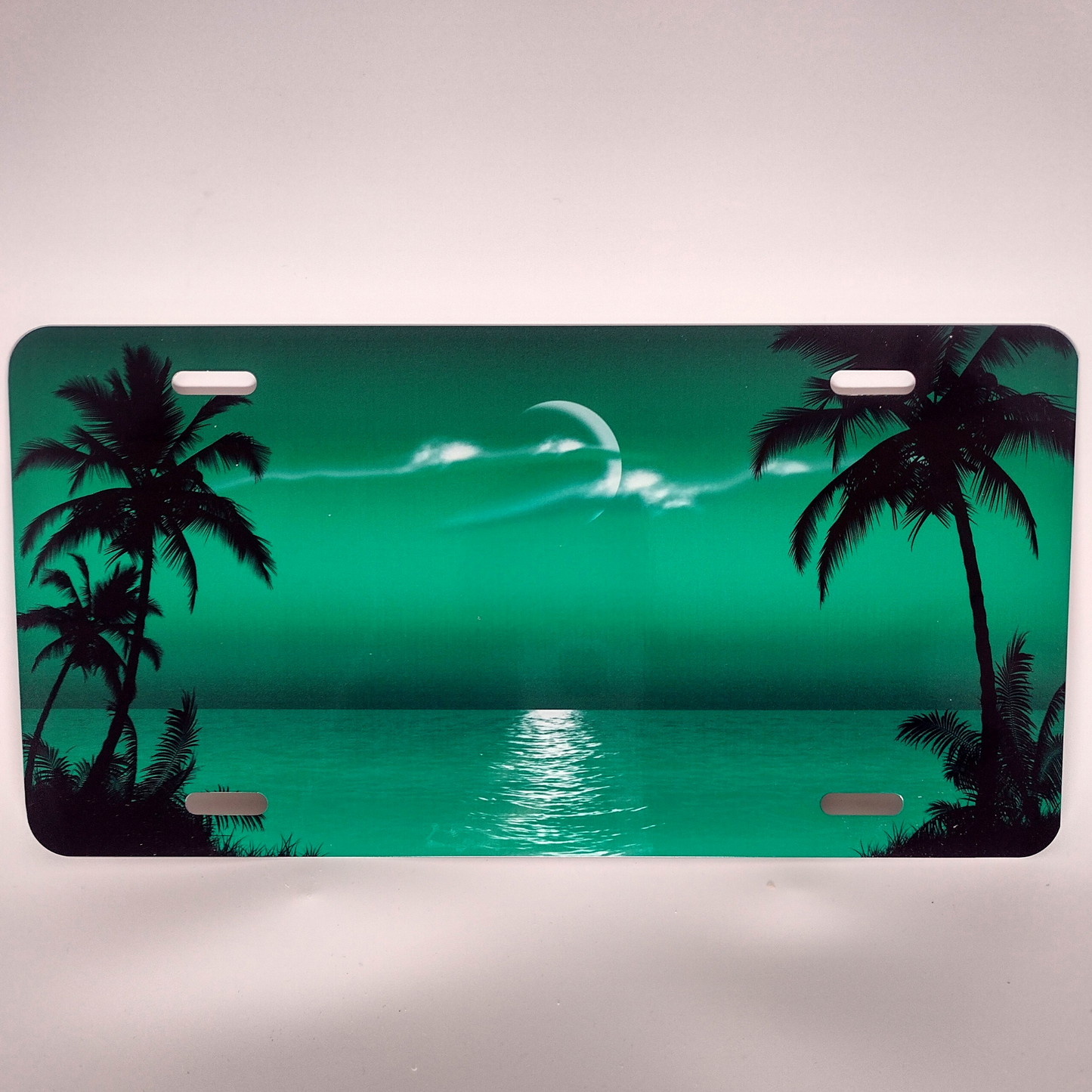 Palm Tree Scenic Personalized Custom License Vanity Plate Free Engraved Auto Car Tag Vehicle License Plate Beautifully Designed