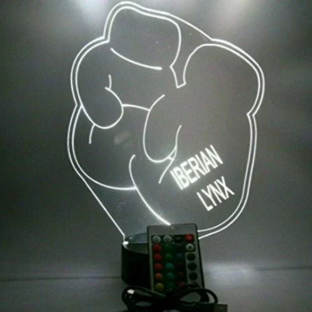 Boxing Gloves, Sports LED Tabletop Night Light Up Lamp, 16 Color options with Remote