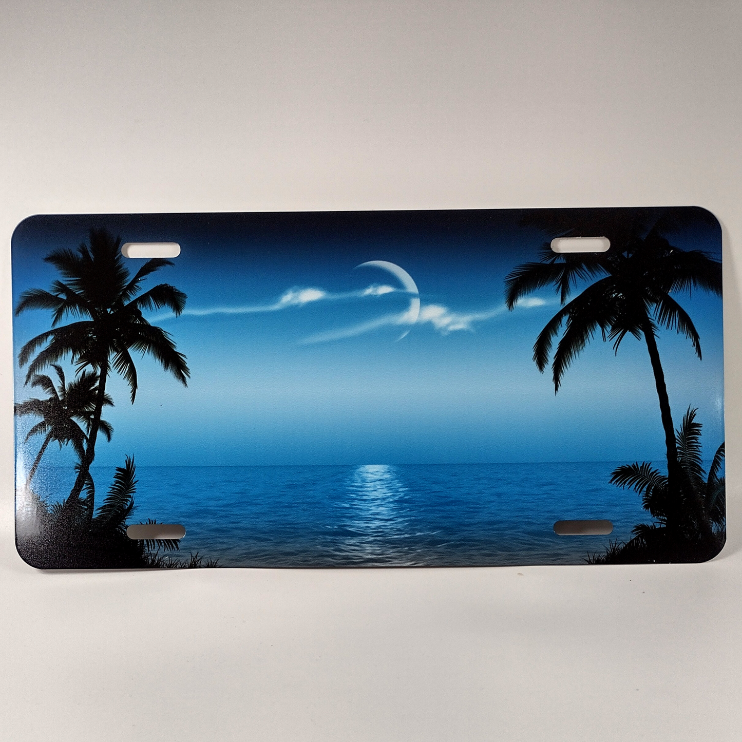 Palm Tree Scenic Personalized Custom License Vanity Plate Free Engraved Auto Car Tag Vehicle License Plate Beautifully Designed