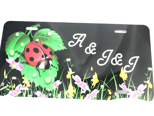 Custom Engraved Lady Bug License Vanity Plate