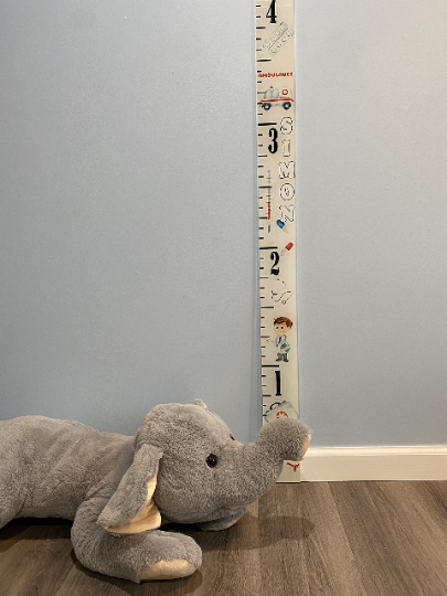Acrylic Ambulance Doctor Medical Hospital Height Kids Growth Chart