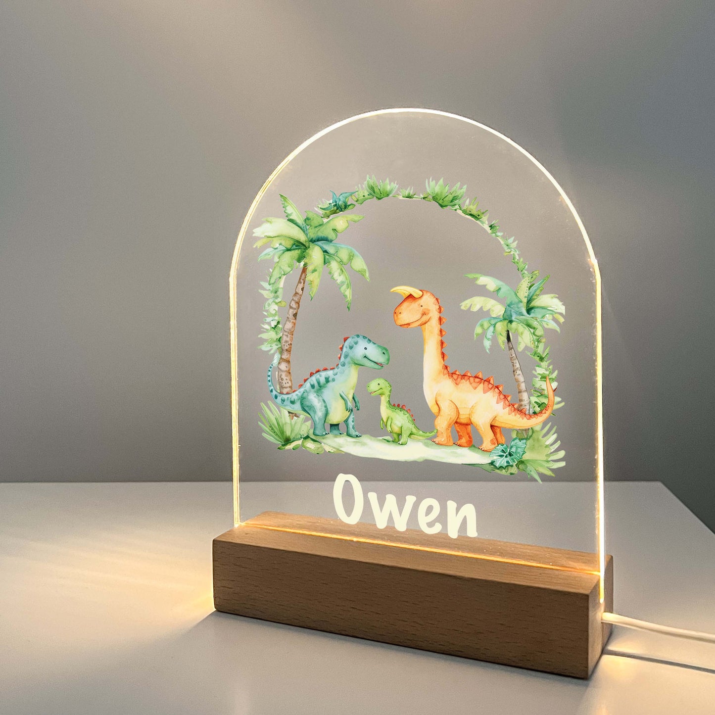 Personalized Custom Dinosaur T. Rex Dino Night LED Lamp For Kids Room, Baby Gift, Girls Boys Night Light, Bedroom Decor, Dinosaur Gifts