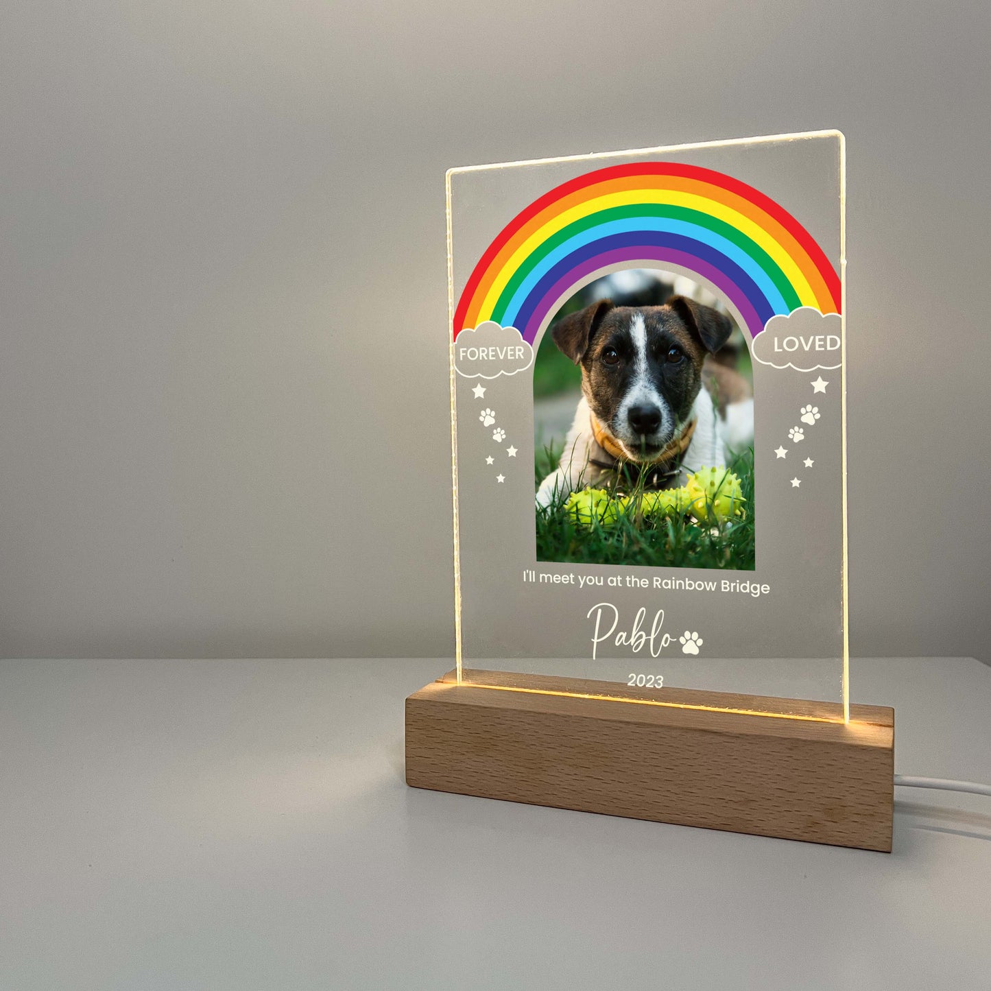 Pet Memorial Night Light with Wooden Base, Custom Pet Plaque, Pet Night Light, Custom Pet Photo, Pet Memorial Frame, Gifts for Pets, Cat Dog Loss Gift