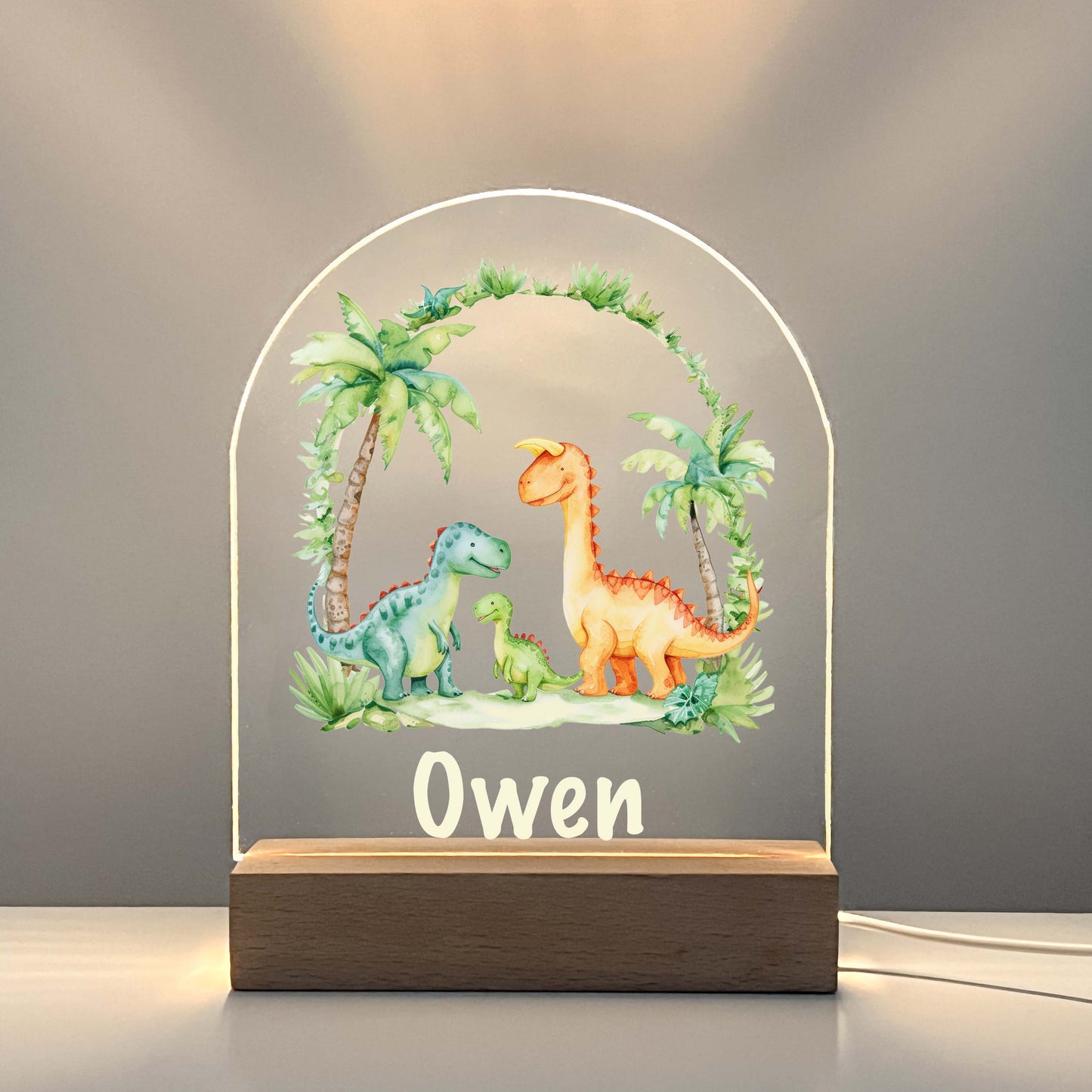 Personalized Custom Dinosaur T. Rex Dino Night LED Lamp For Kids Room, Baby Gift, Girls Boys Night Light, Bedroom Decor, Dinosaur Gifts