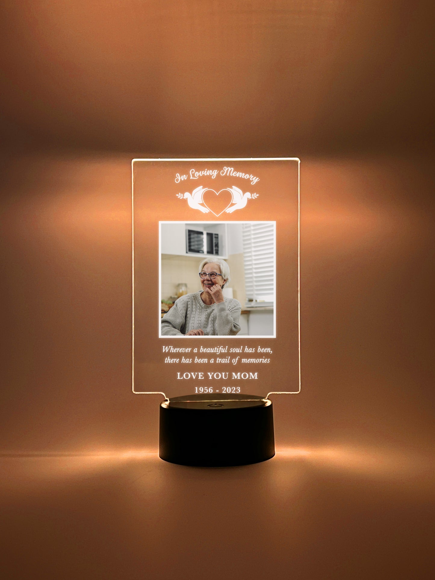 Personalized Unique Sympathy Gifts LED light, 16 COlors For Loss Custom In Loving Memory Loved One Light Up Picture Frame Photo & Text Memorial Plaque Night Lamp