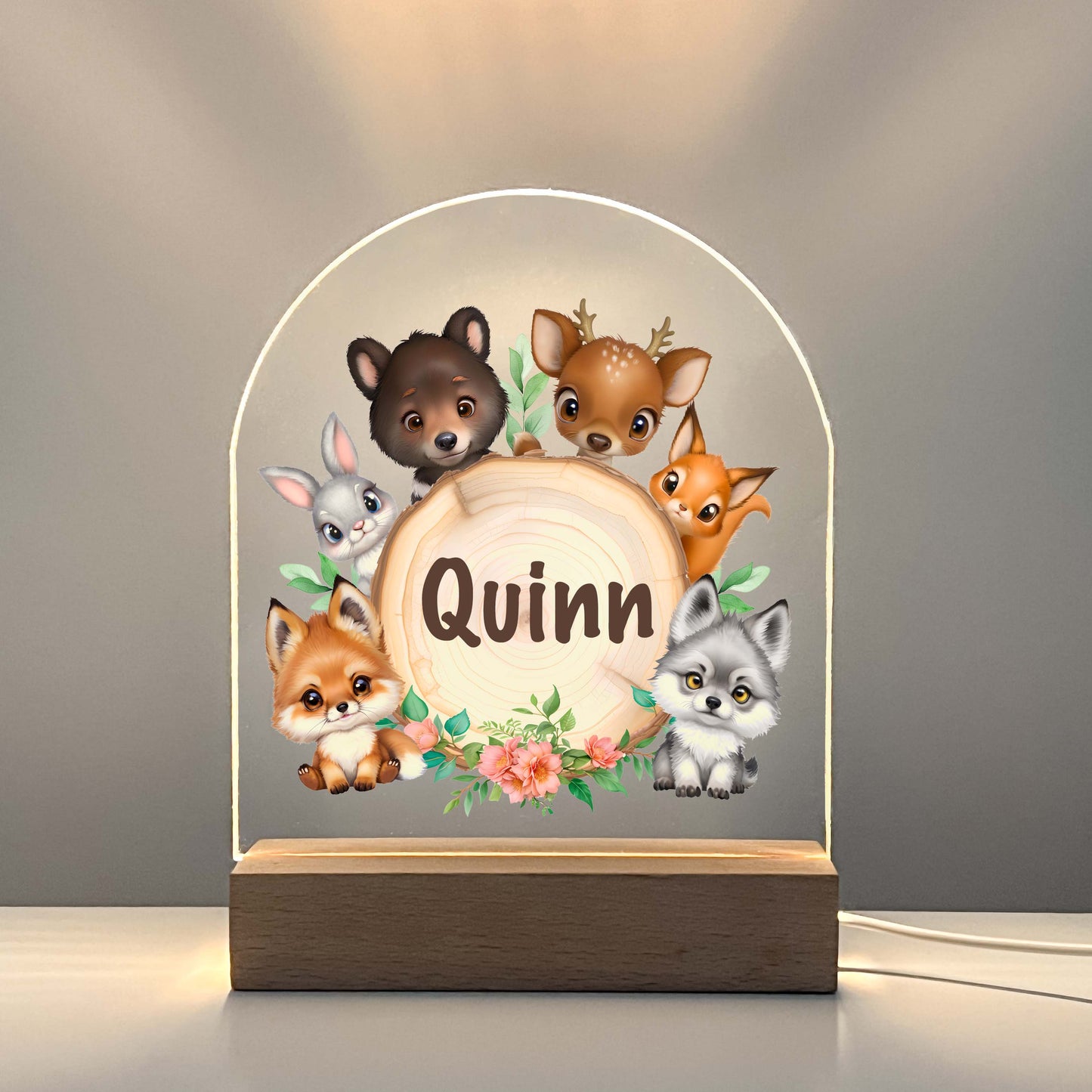 Personalized Custom Animals & Friends Night LED Lamp For Kids Room, Baby Gift, Girls Boys Night Light, Bedroom Decor, Night Light Gift