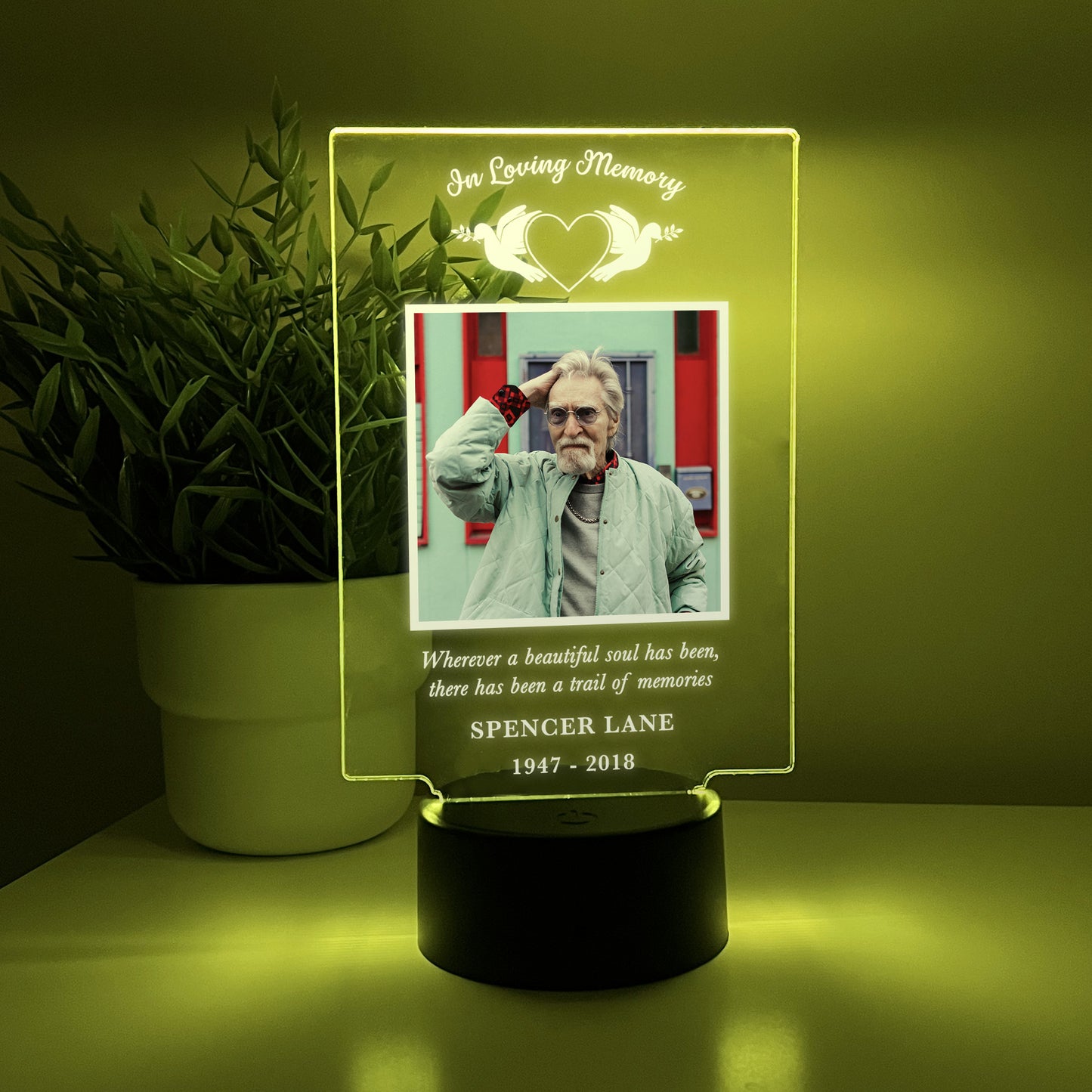 Personalized Unique Sympathy Gifts LED light, 16 COlors For Loss Custom In Loving Memory Loved One Light Up Picture Frame Photo & Text Memorial Plaque Night Lamp