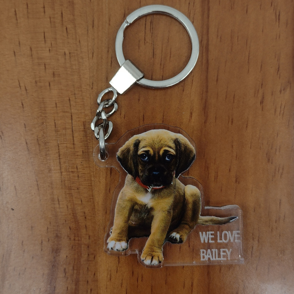 Custom Dog Photo UV Printed Key Chain