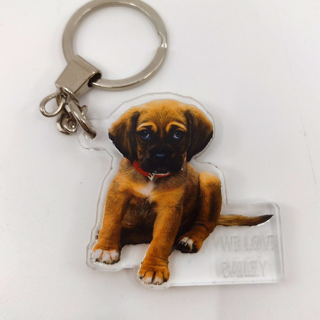 Custom Dog Photo UV Printed Key Chain
