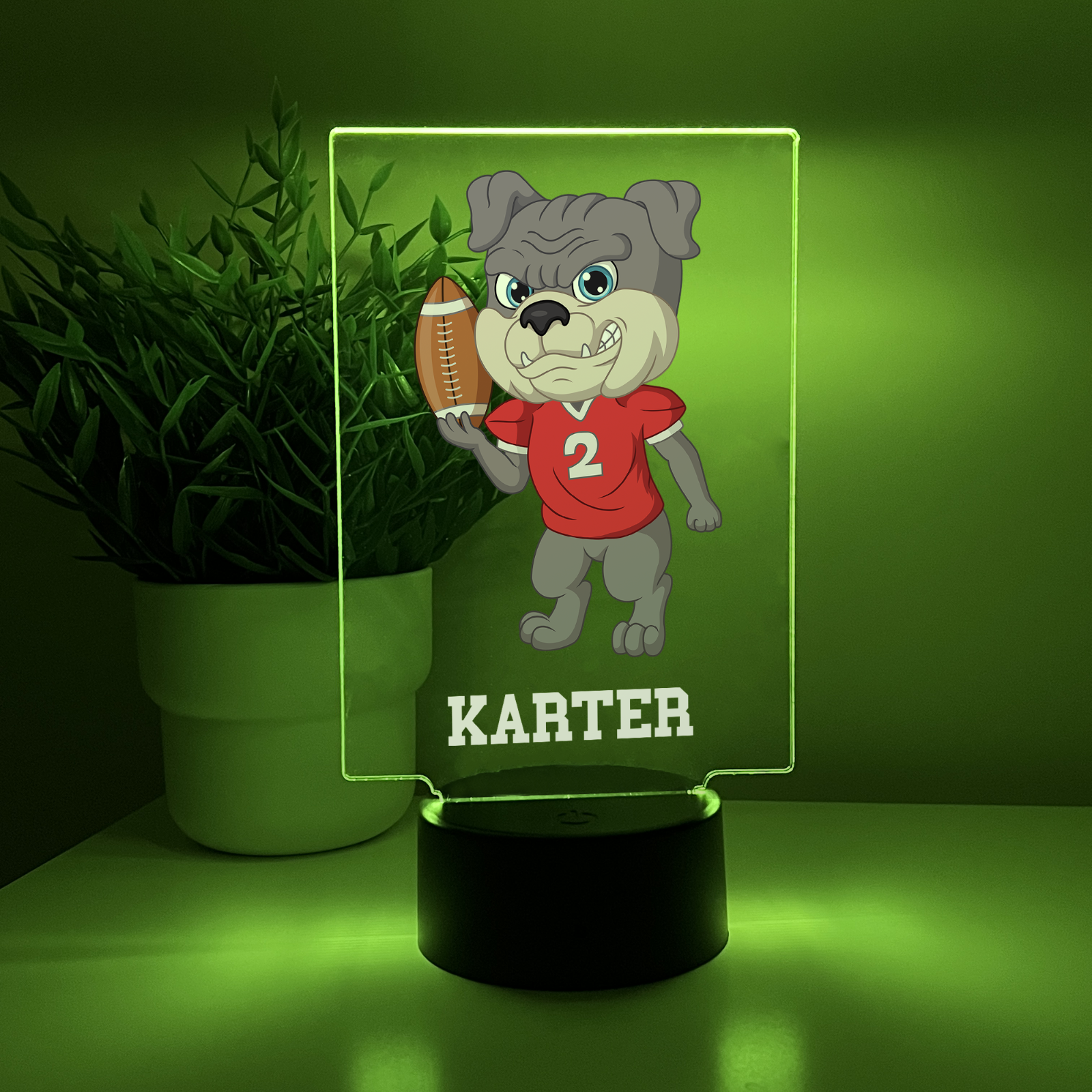 Personalized RGB Light Up Desk Lamp Stand Sports Athlete Animals Hockey Football
